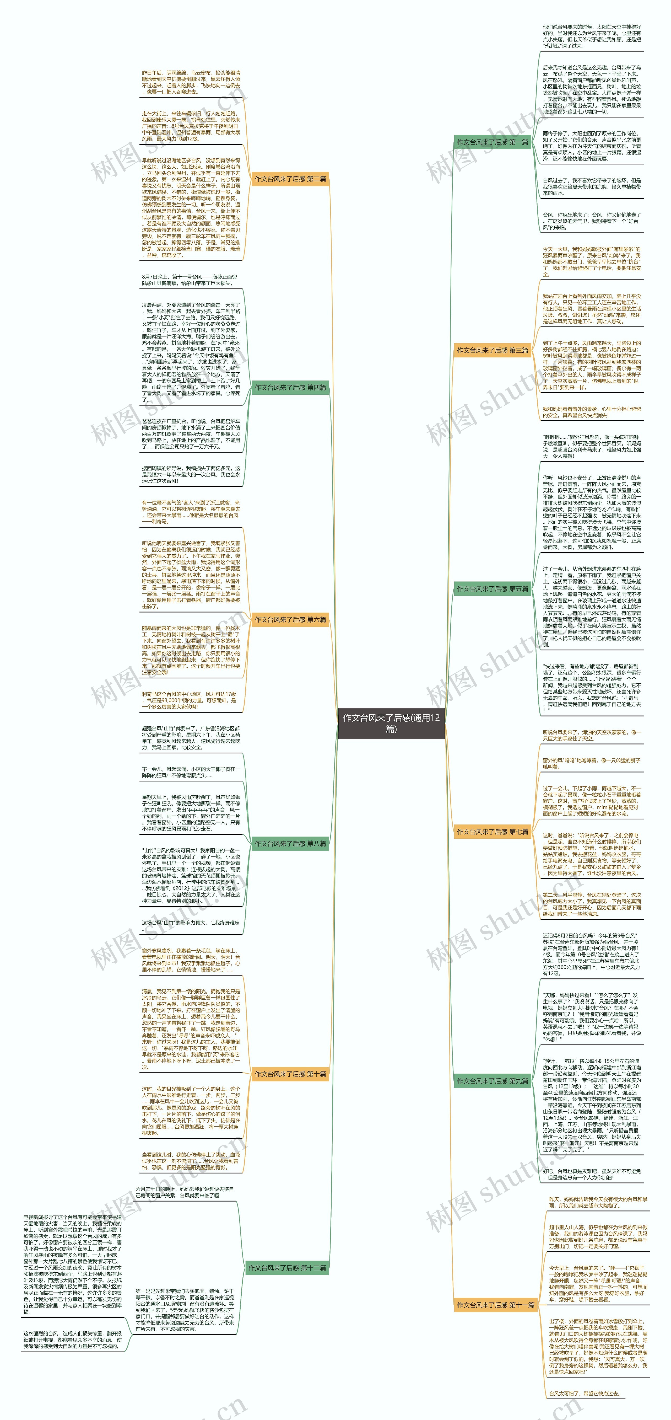 作文台风来了后感(通用12篇)思维导图