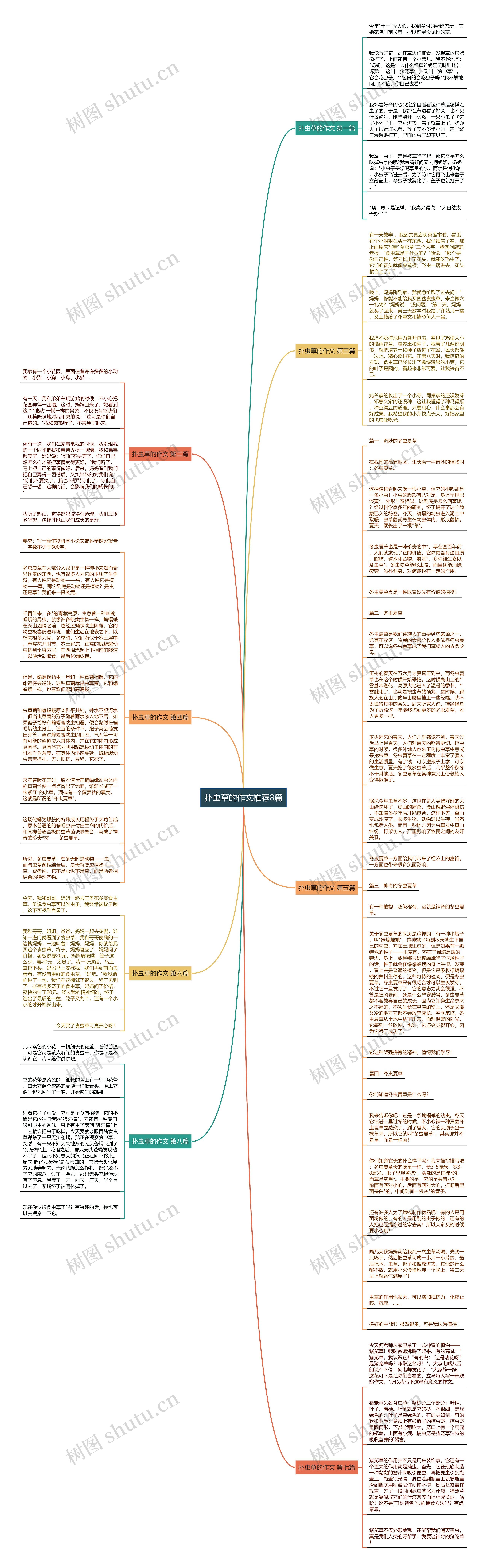 扑虫草的作文推荐8篇思维导图
