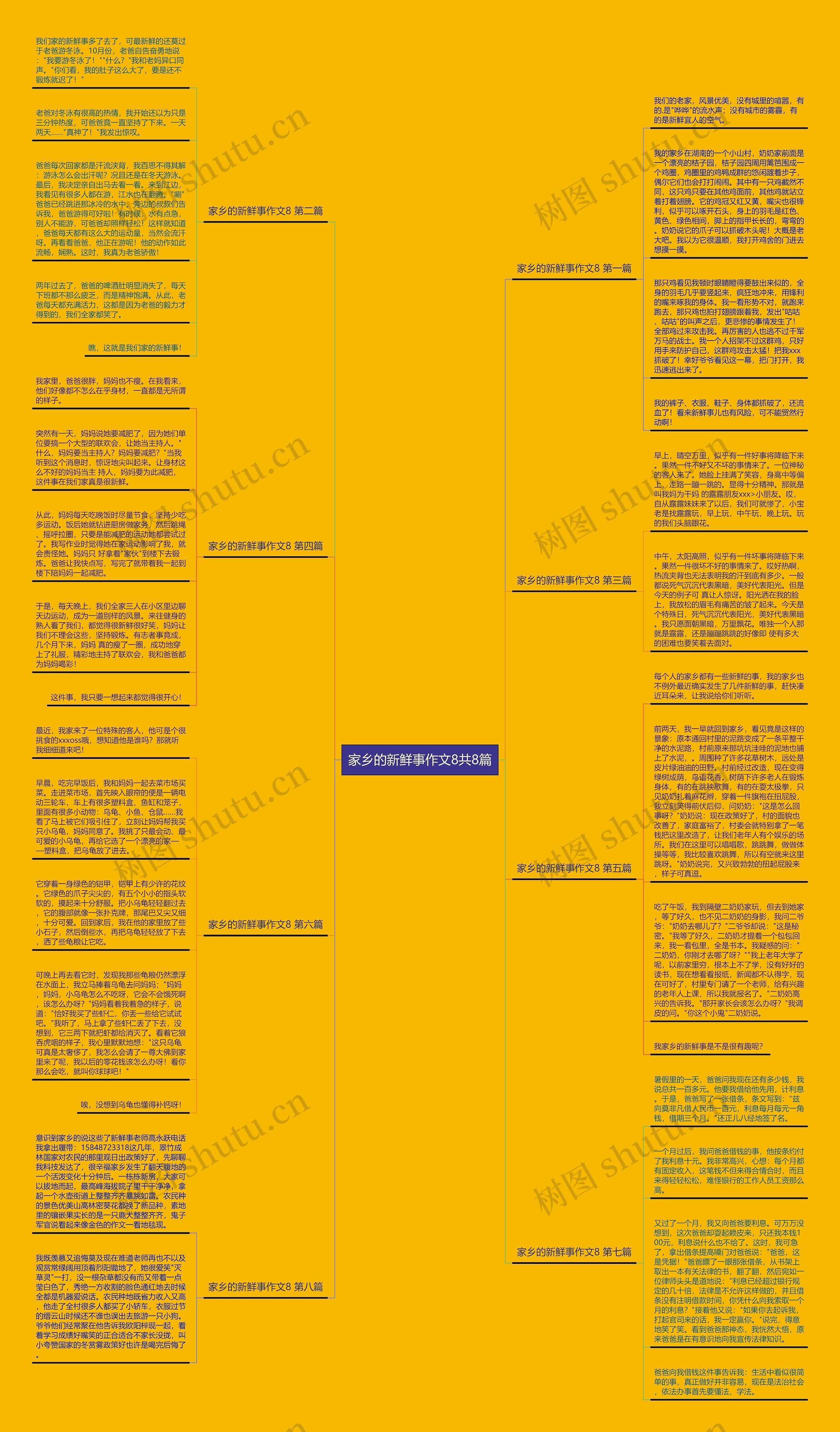 家乡的新鲜事作文8共8篇思维导图