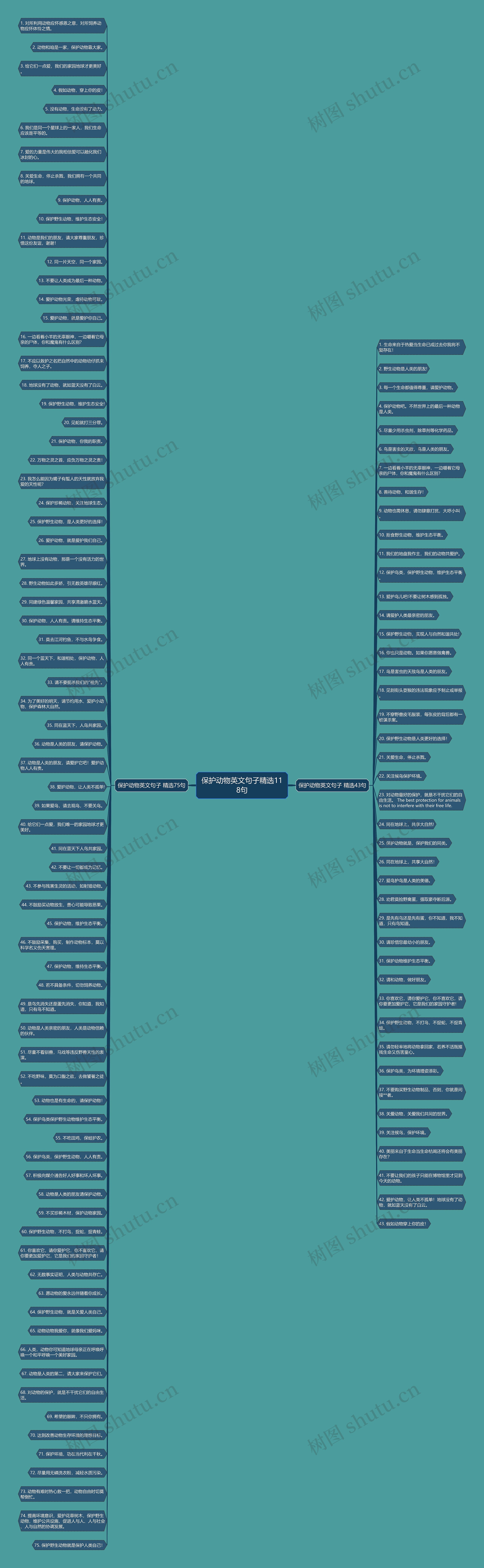 保护动物英文句子精选118句思维导图