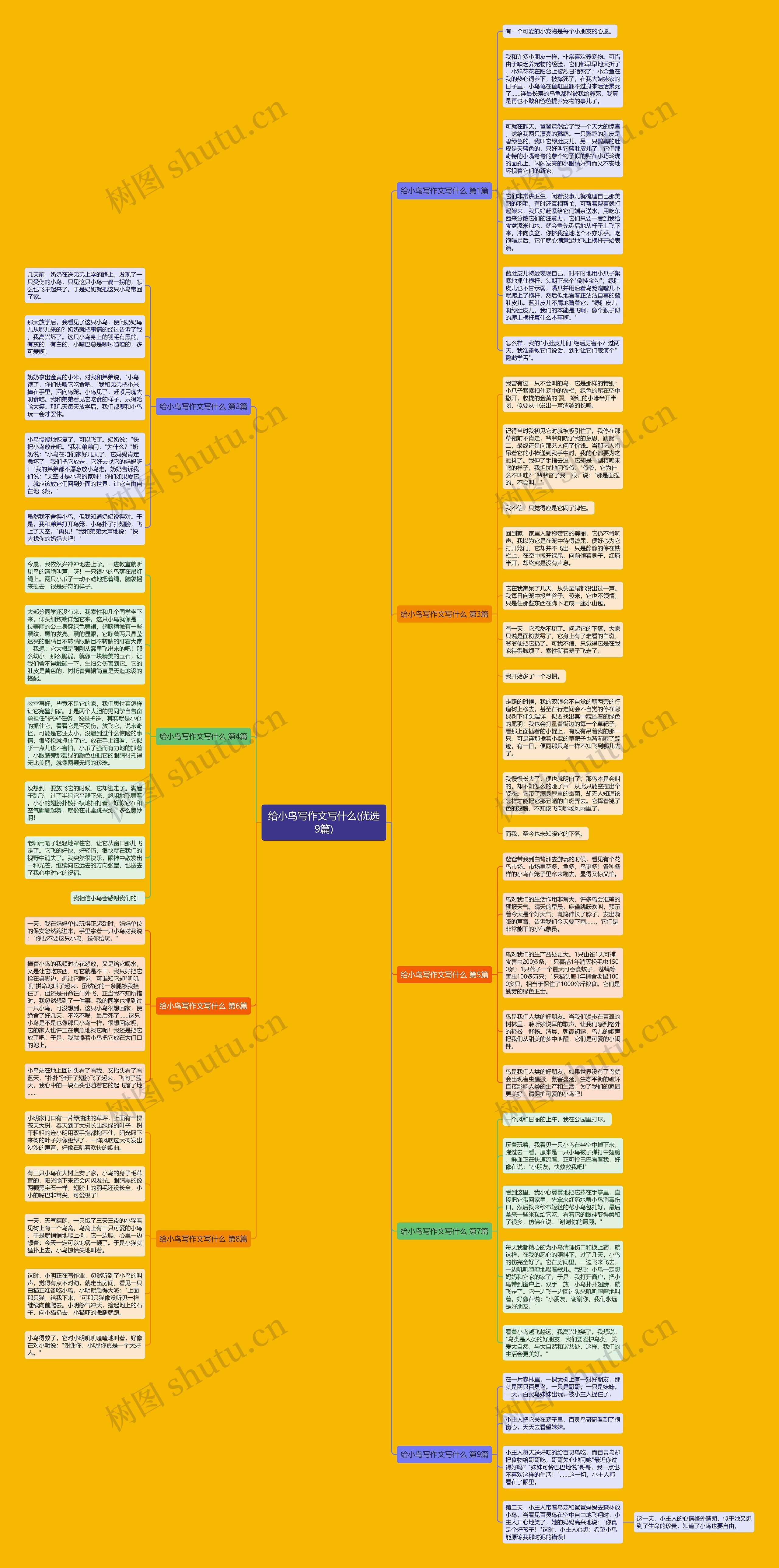 给小鸟写作文写什么(优选9篇)思维导图