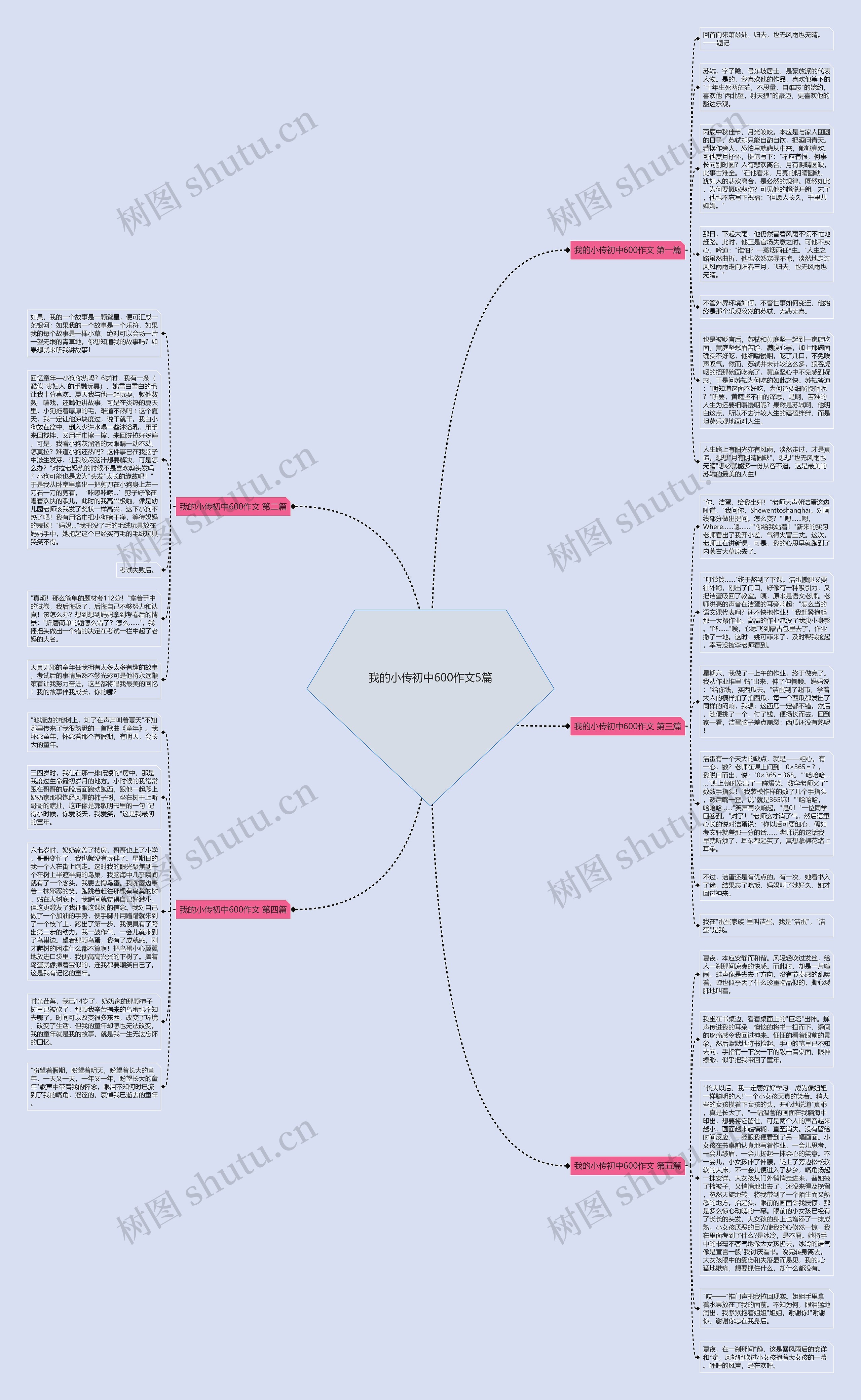我的小传初中600作文5篇思维导图