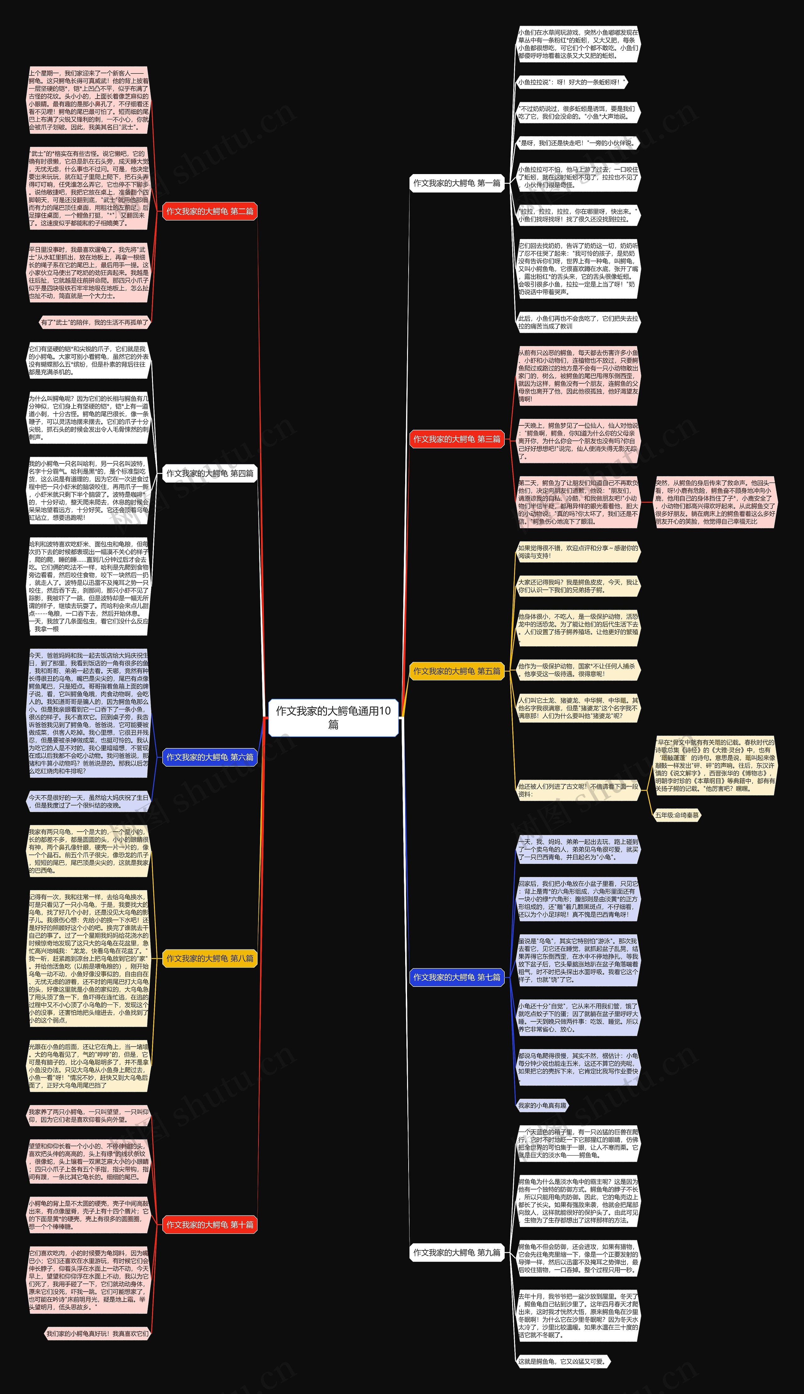 作文我家的大鳄龟通用10篇思维导图