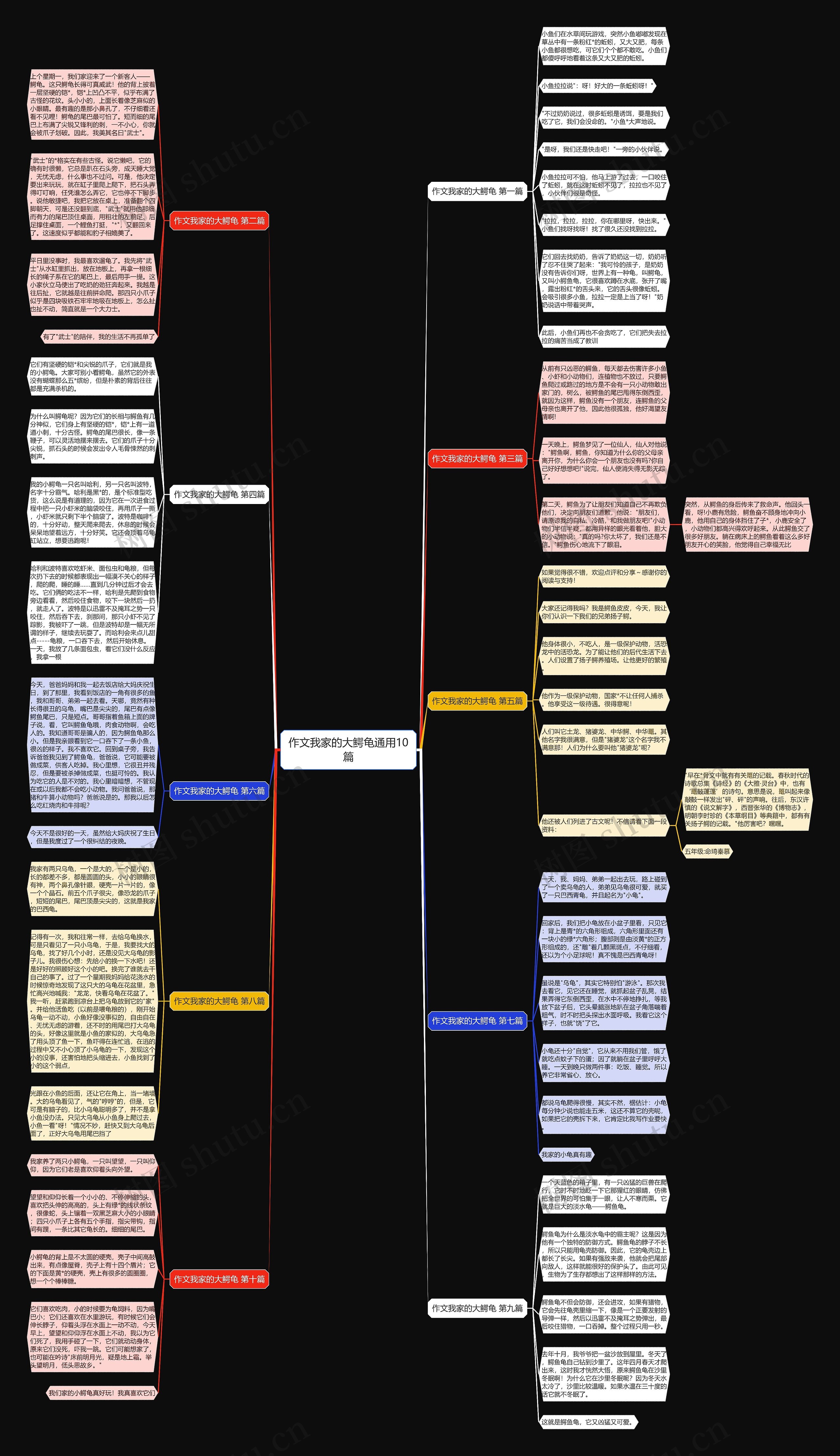 作文我家的大鳄龟通用10篇 作文我家的大鳄龟通用10篇