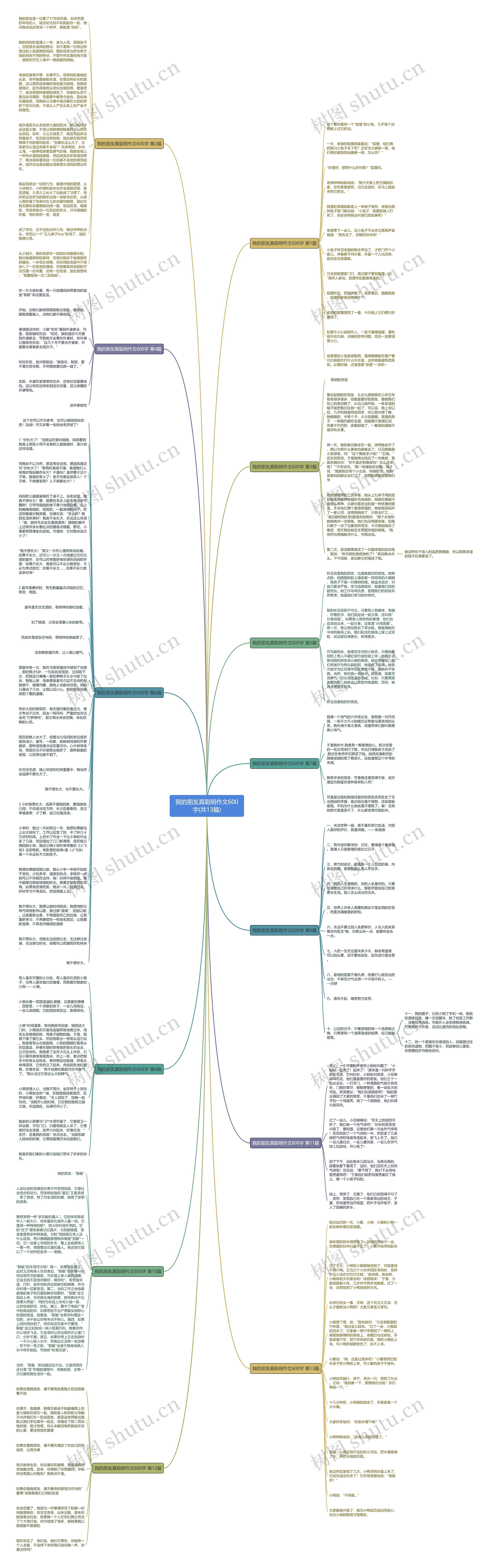 我的朋友真聪明作文600字(共13篇)思维导图