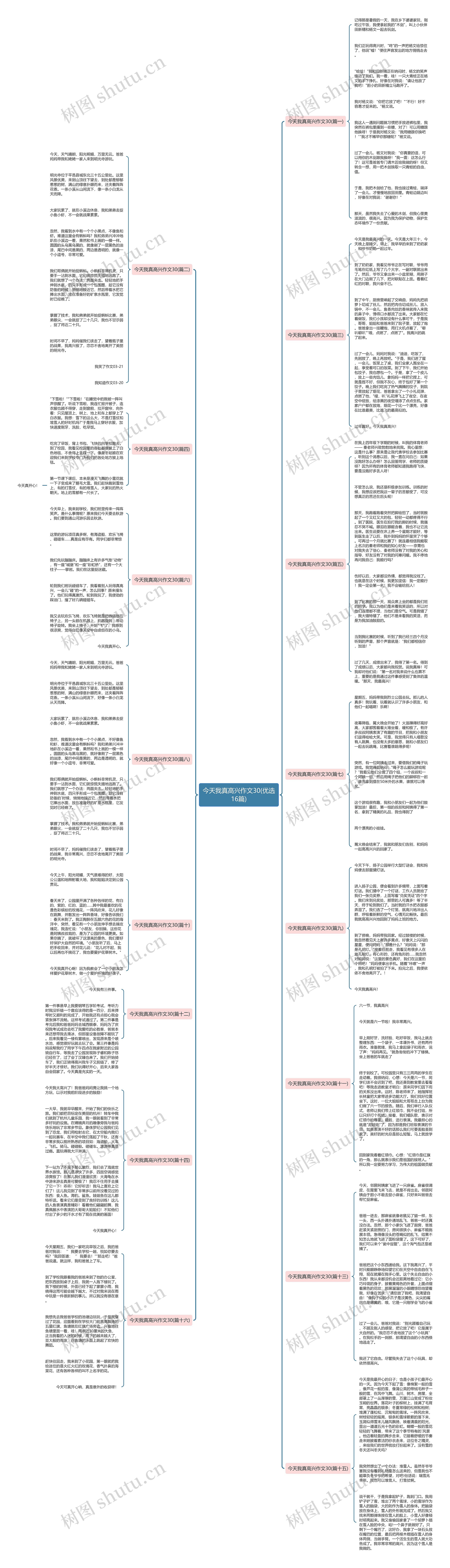 今天我真高兴作文30(优选16篇)思维导图