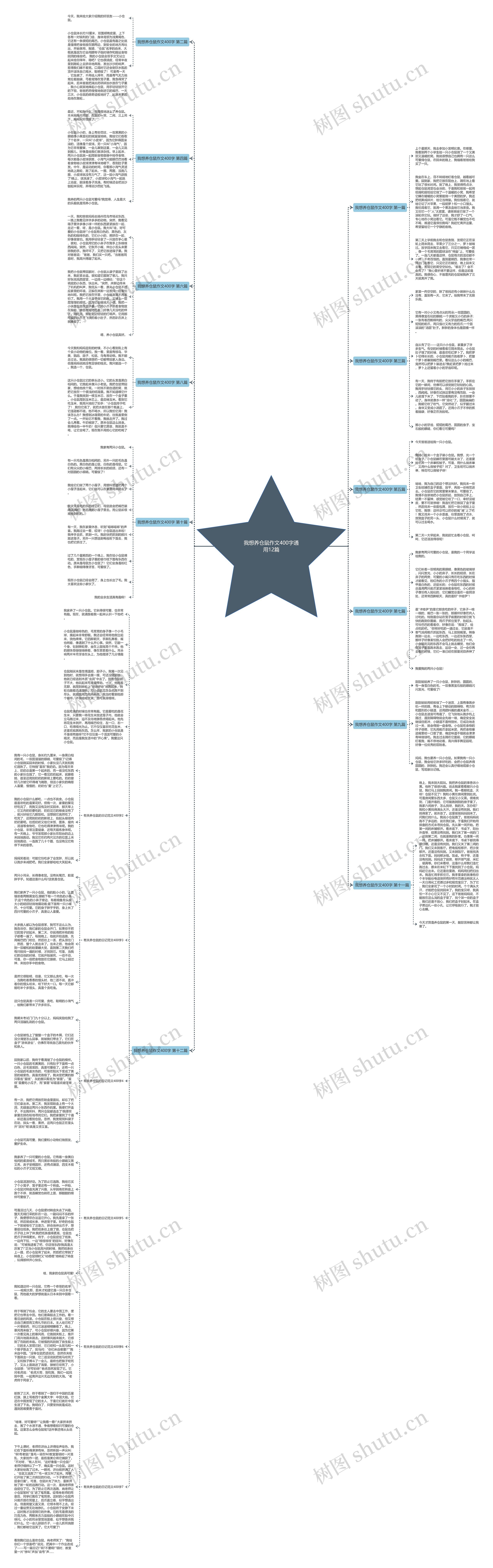 我想养仓鼠作文400字通用12篇思维导图
