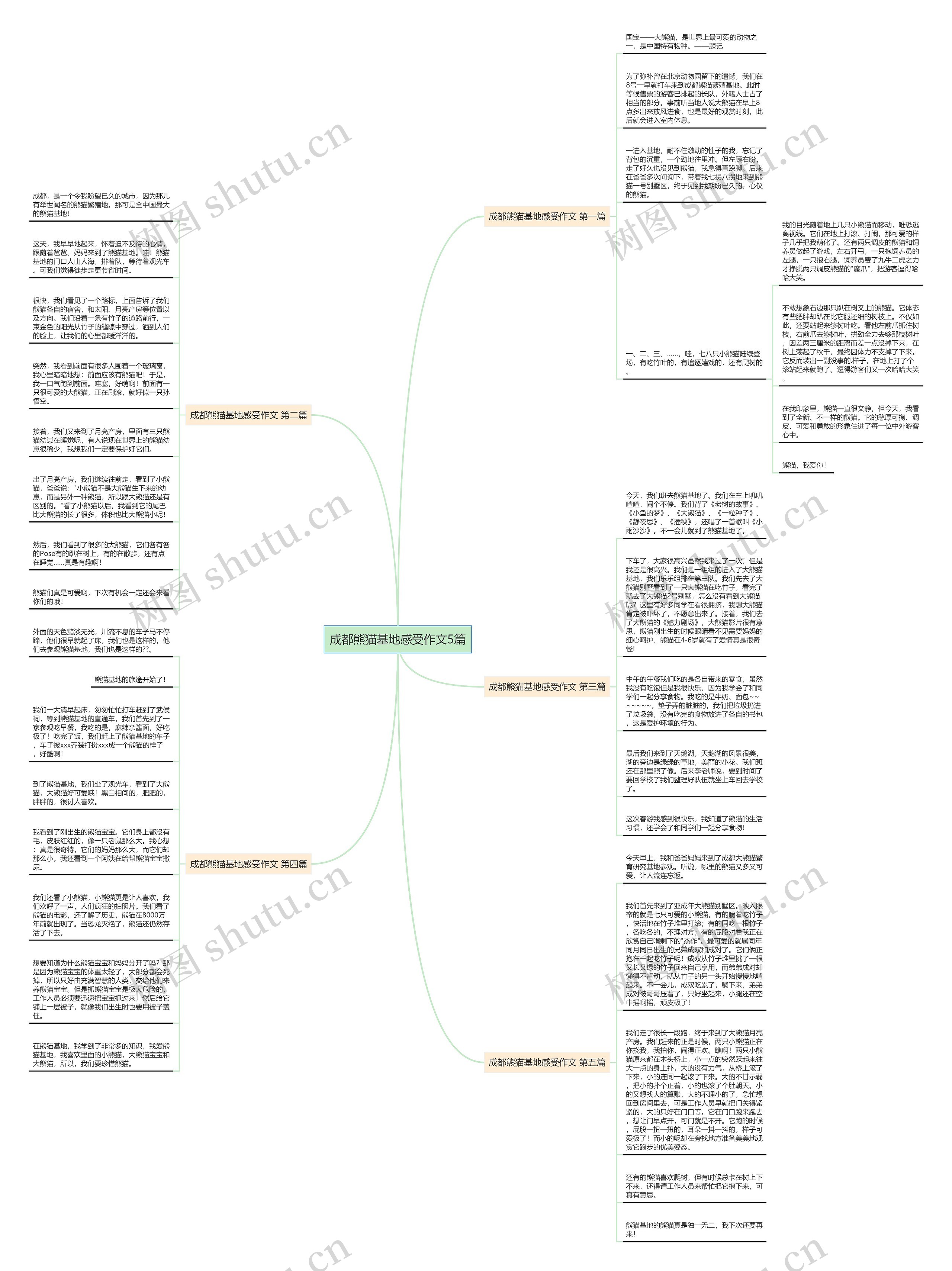 成都熊猫基地感受作文5篇思维导图