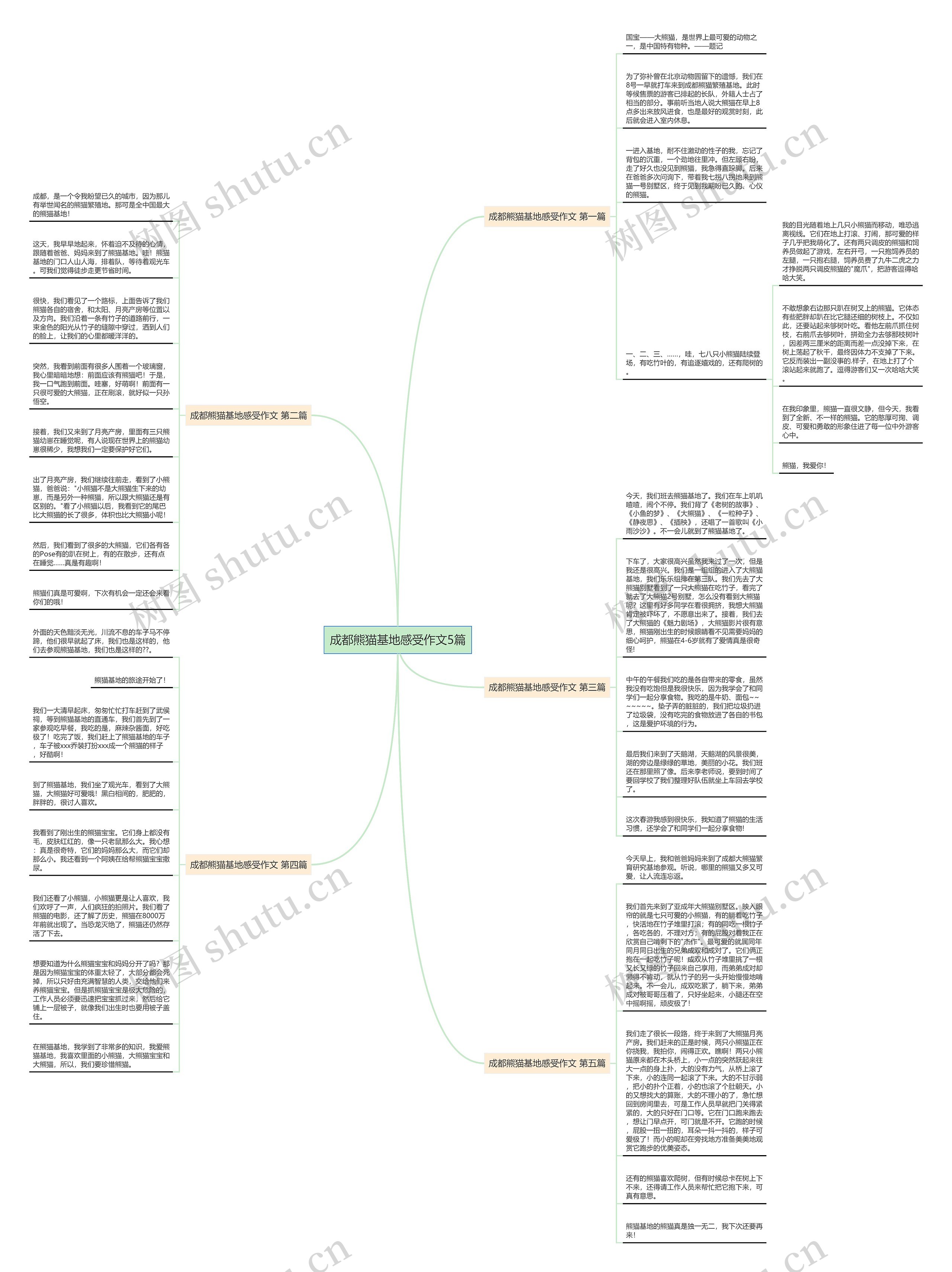成都熊猫基地感受作文5篇 成都熊猫基地感受作文5篇