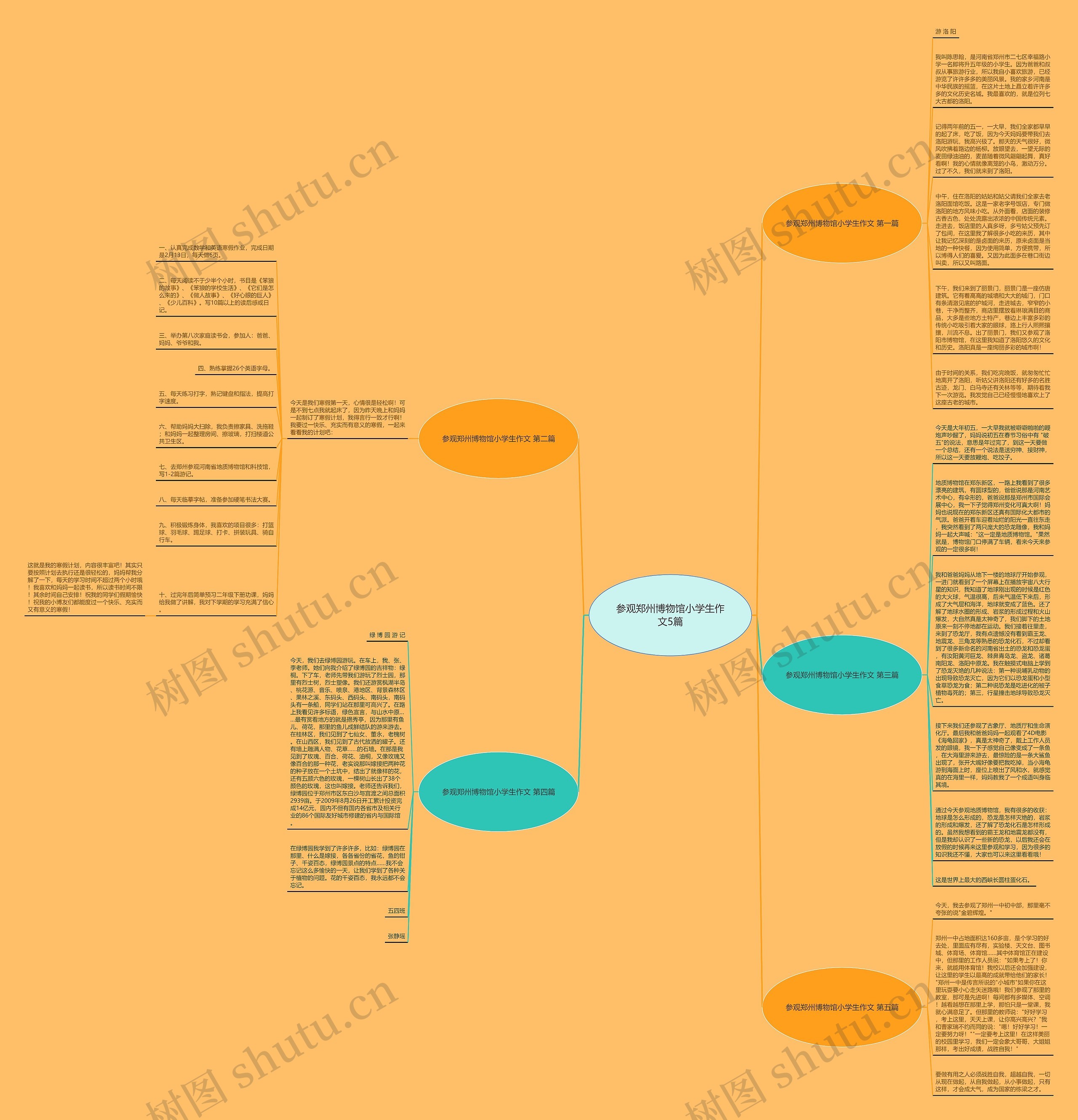 参观郑州博物馆小学生作文5篇思维导图