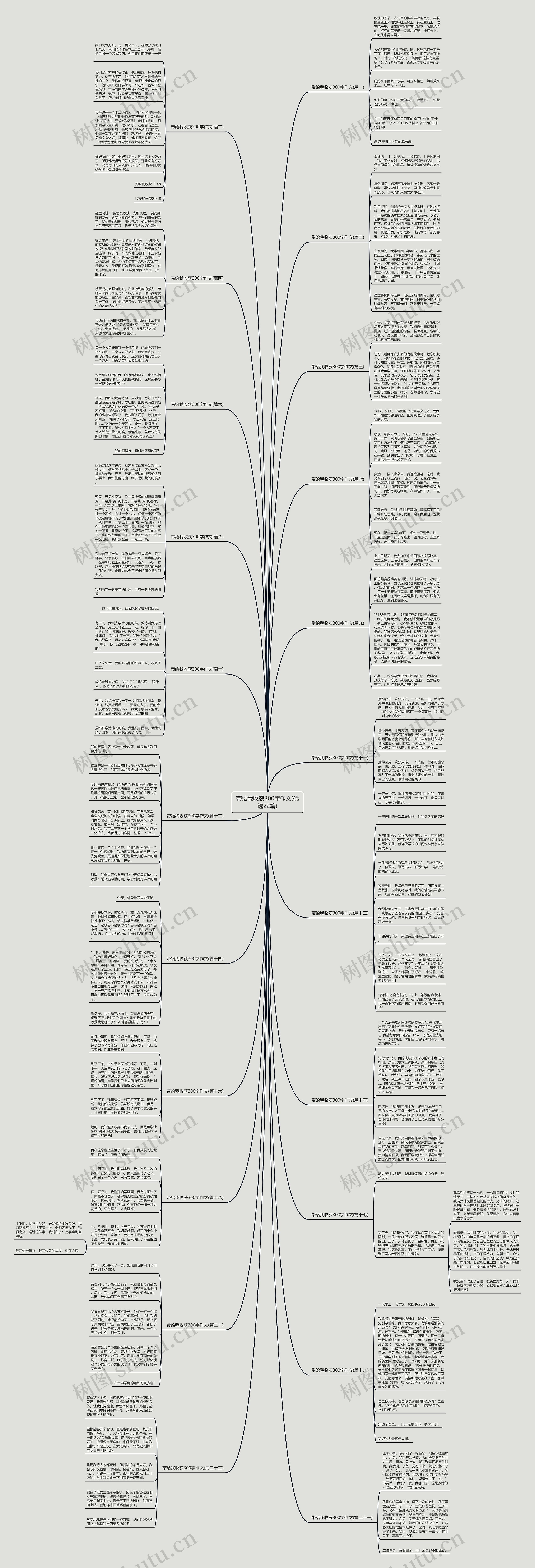 带给我收获300字作文(优选22篇)思维导图