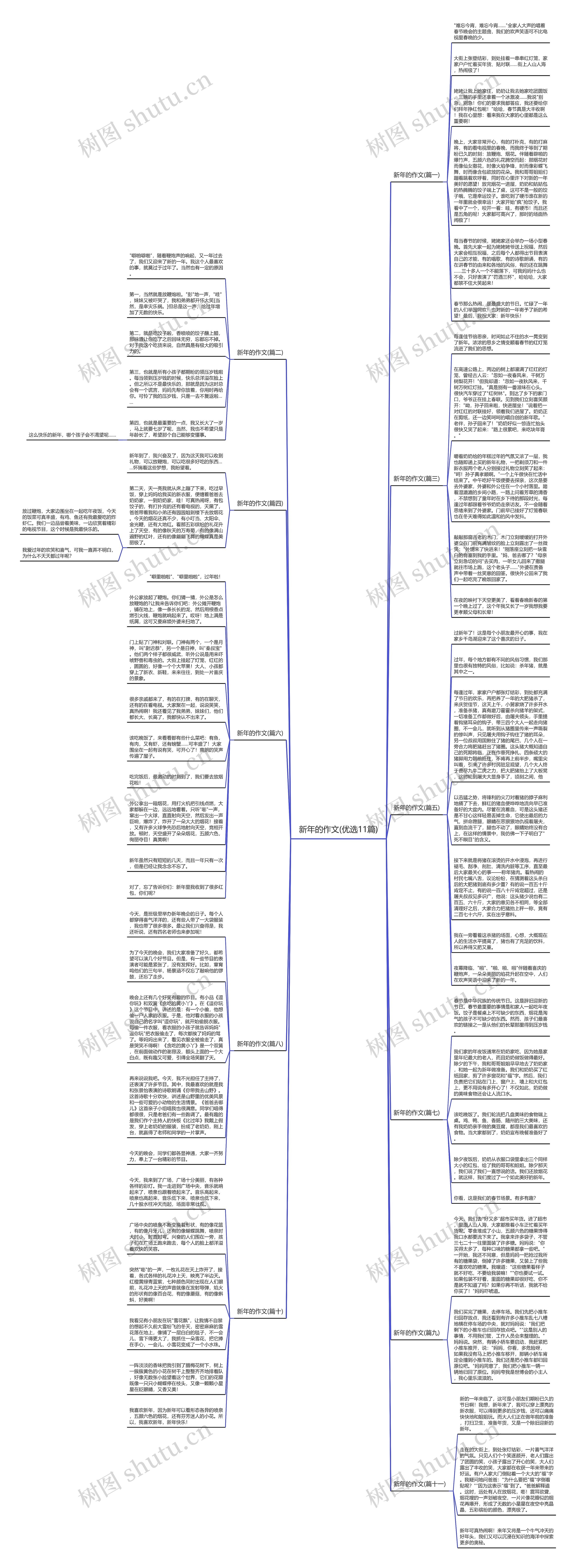 新年的作文(优选11篇)思维导图