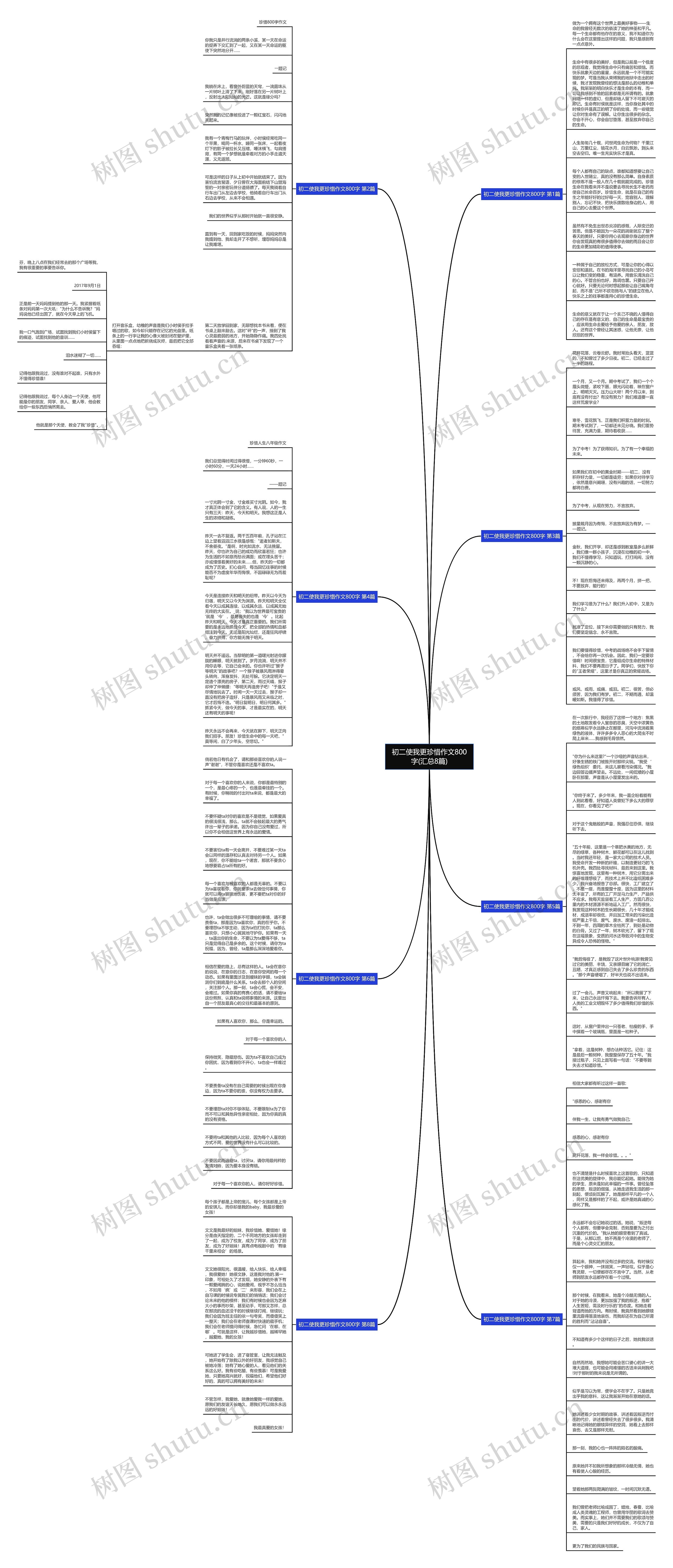 初二使我更珍惜作文800字(汇总8篇)思维导图