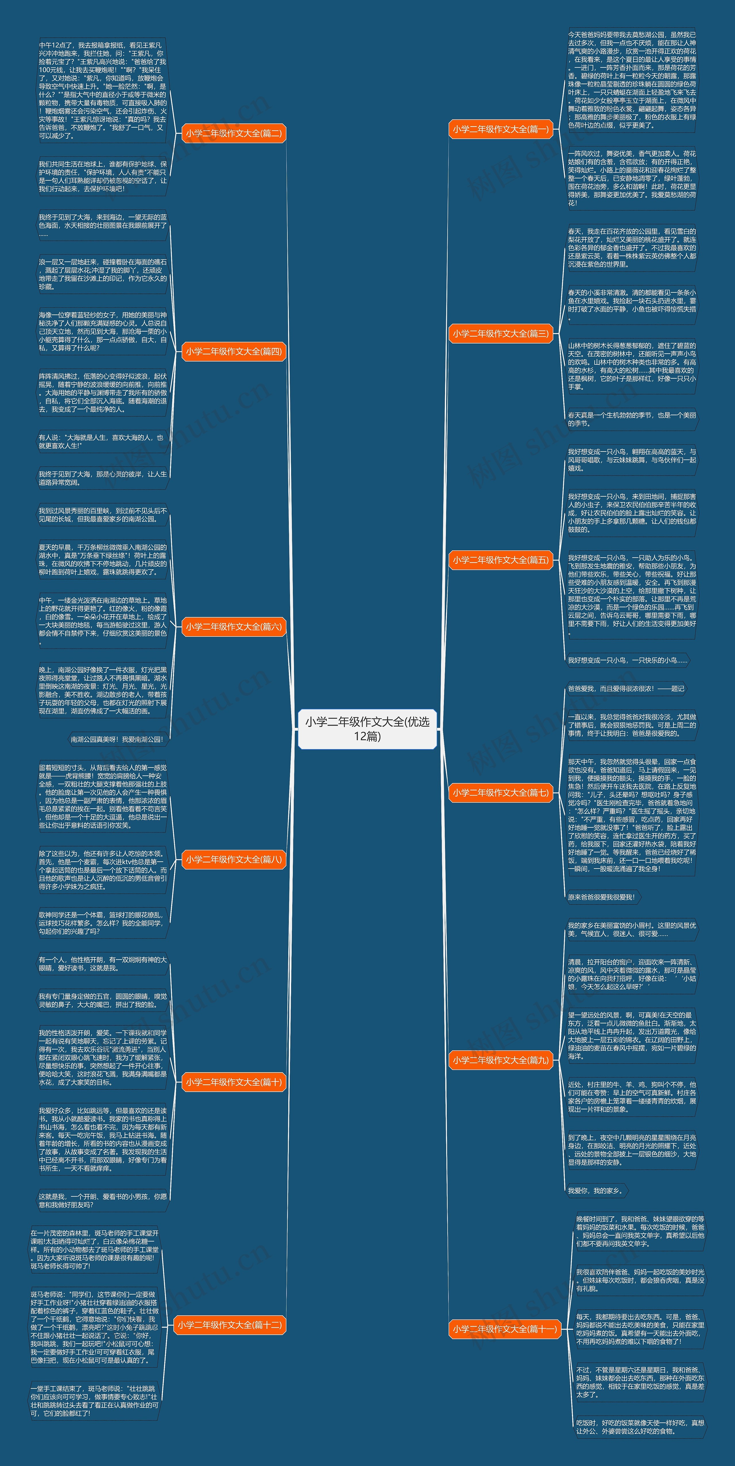 小学二年级作文大全(优选12篇)思维导图
