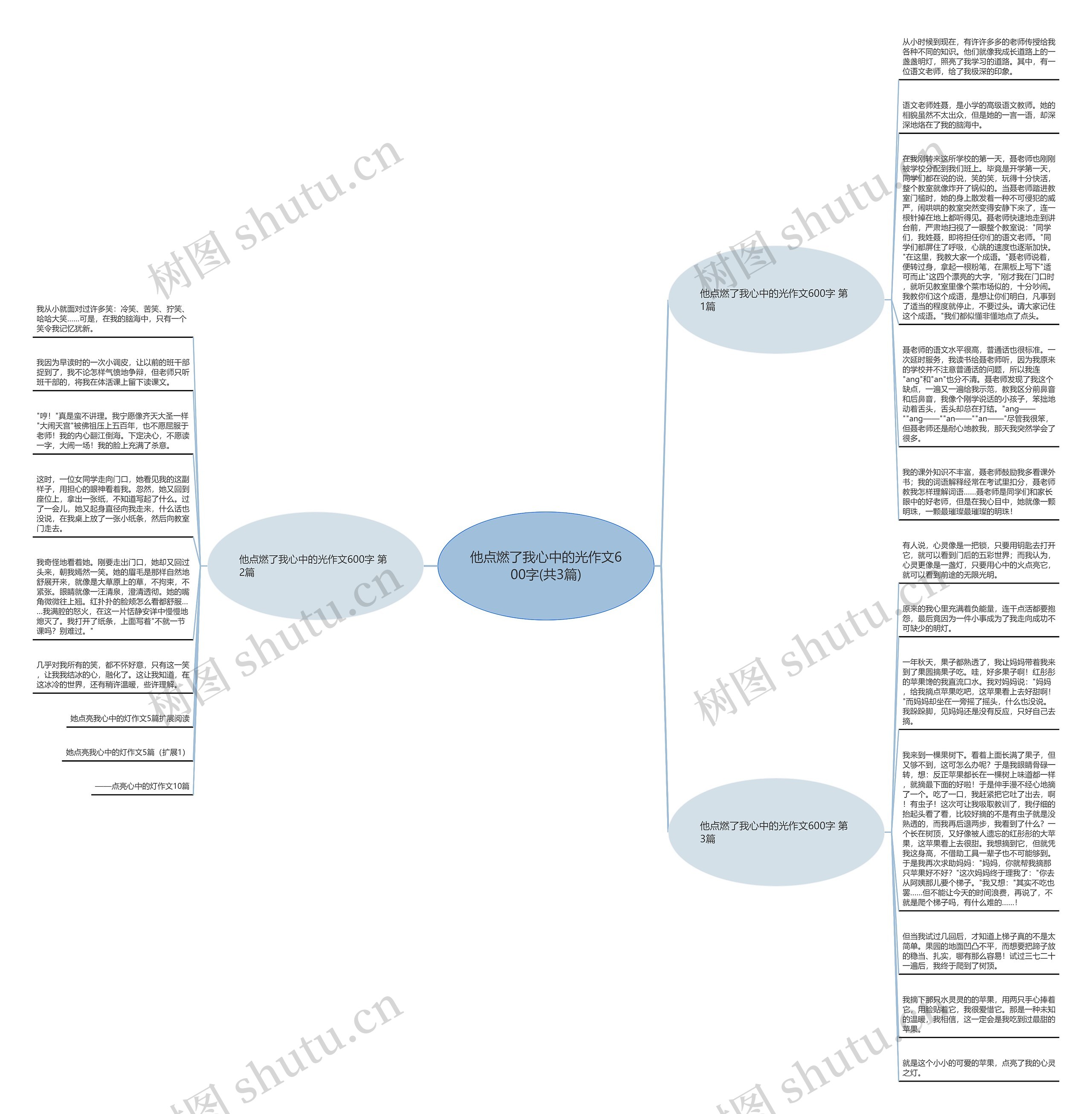 他点燃了我心中的光作文600字(共3篇)思维导图