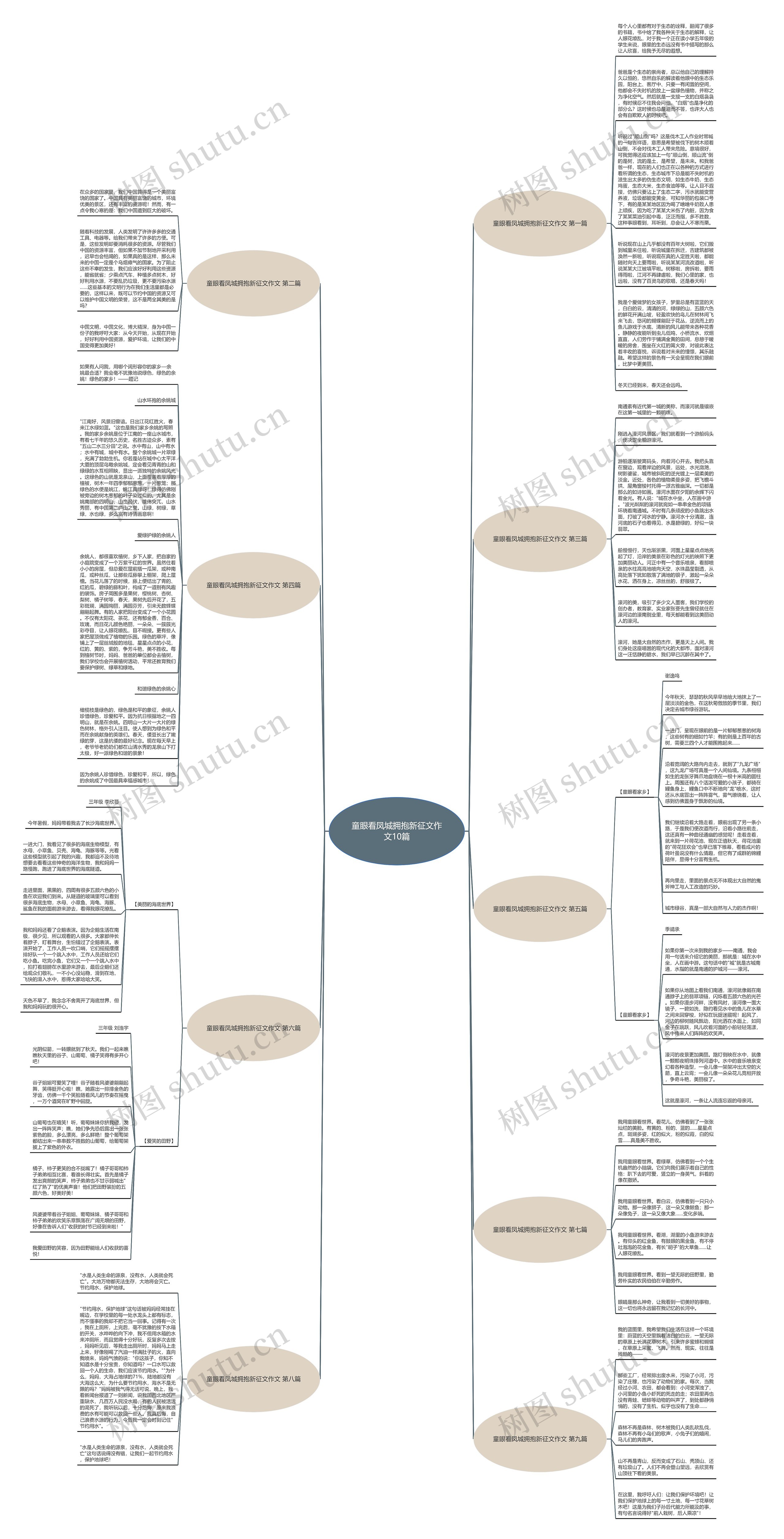 童眼看凤城拥抱新征文作文10篇思维导图