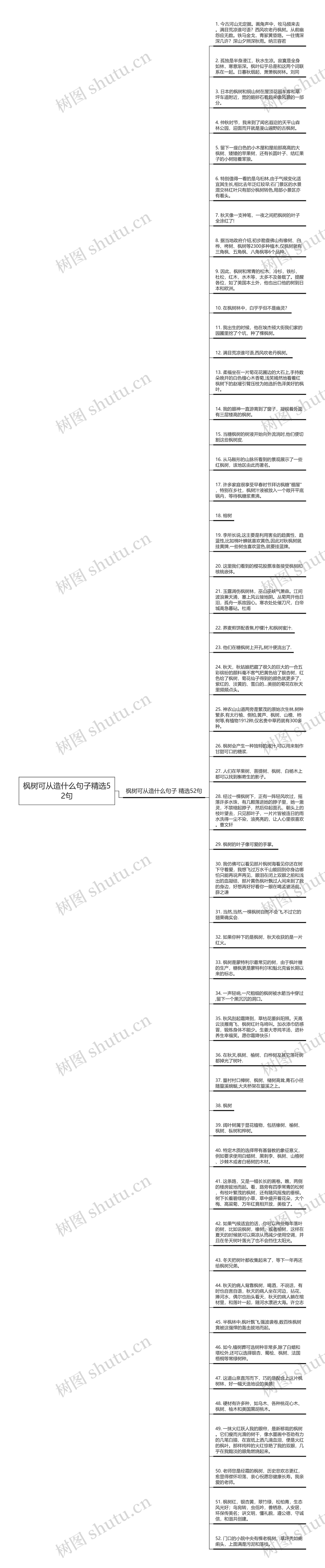 枫树可从造什么句子精选52句思维导图