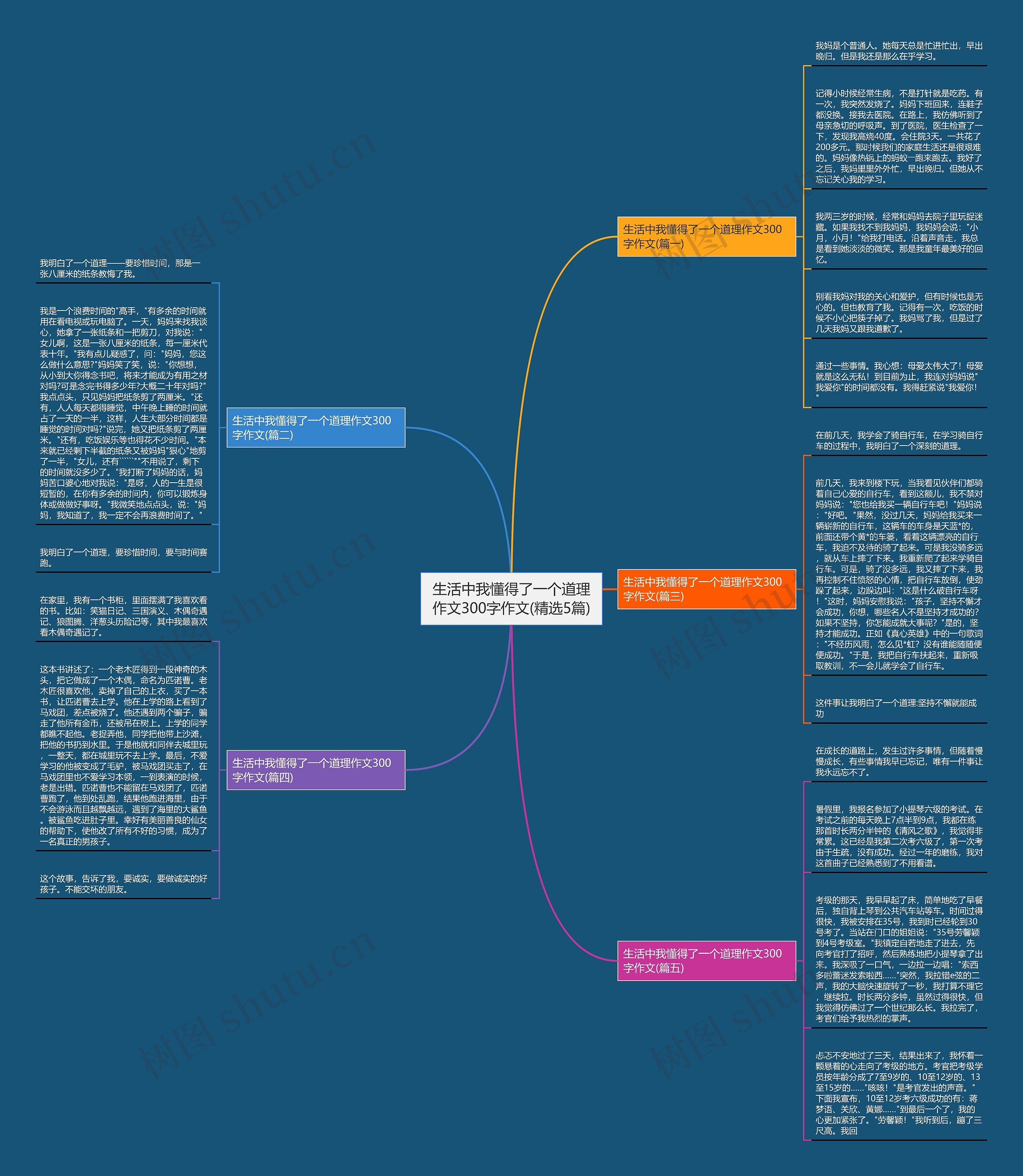 生活中我懂得了一个道理作文300字作文(精选5篇)思维导图
