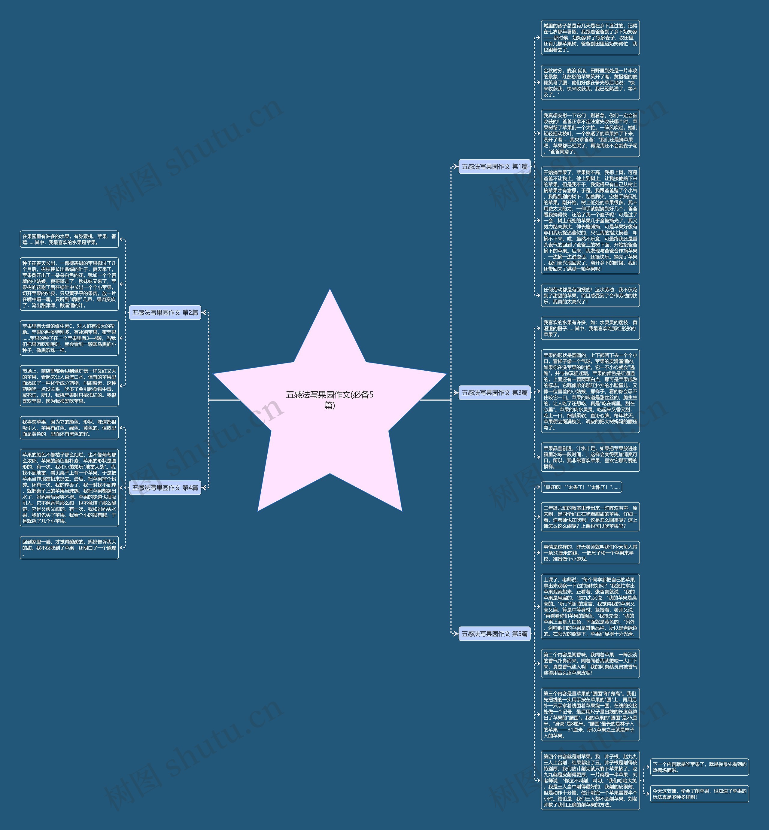 五感法写果园作文(必备5篇)思维导图