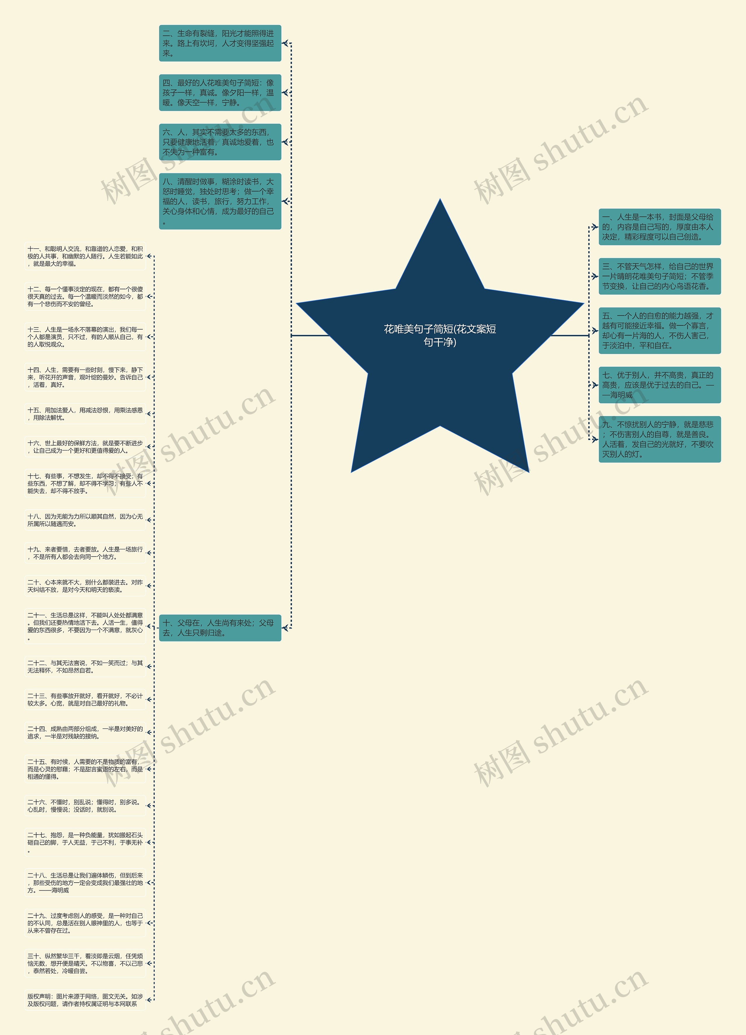 花唯美句子简短(花文案短句干净)思维导图