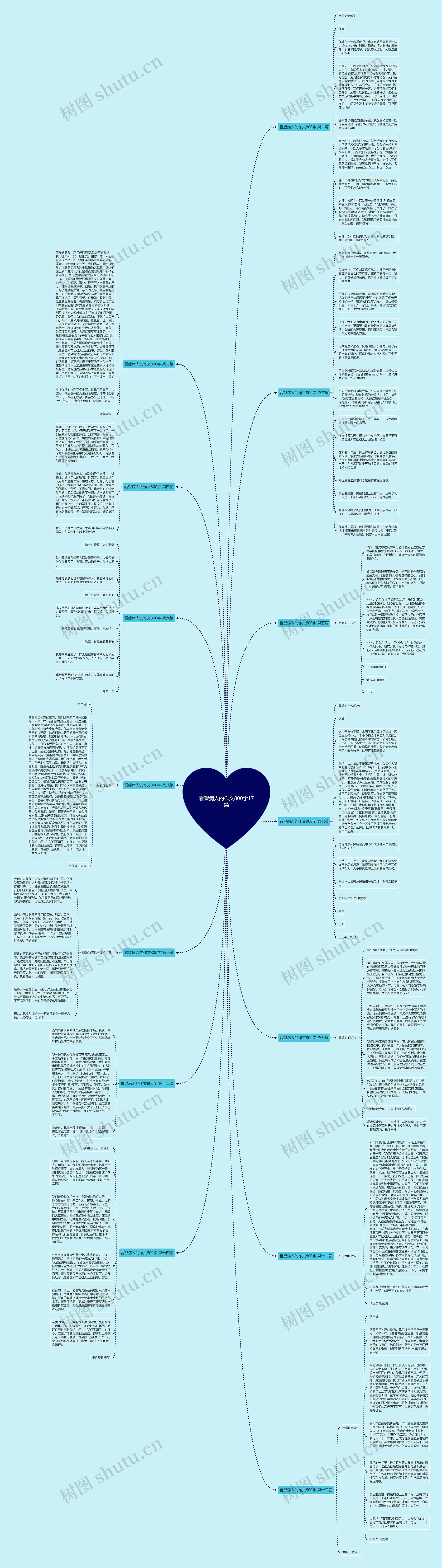 看望病人的作文800字17篇思维导图
