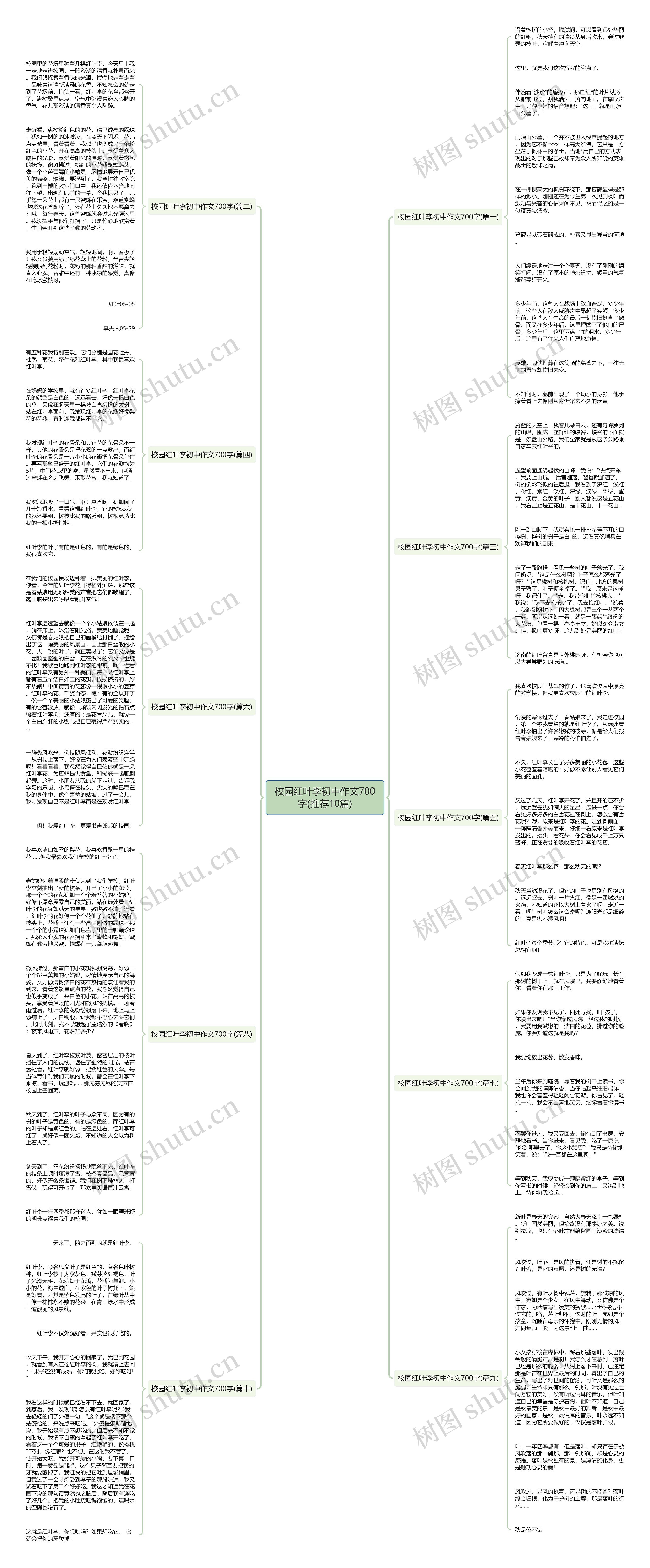 校园红叶李初中作文700字(推荐10篇)思维导图