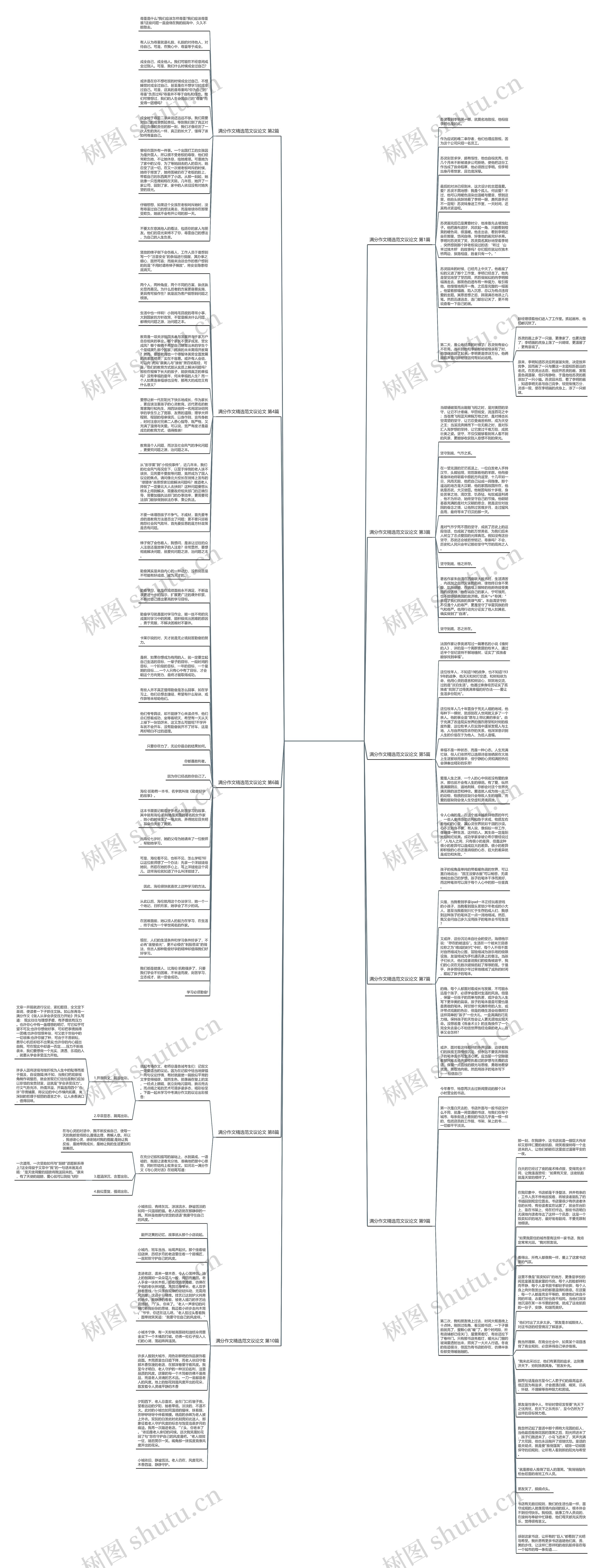 满分作文精选范文议论文(实用10篇)思维导图