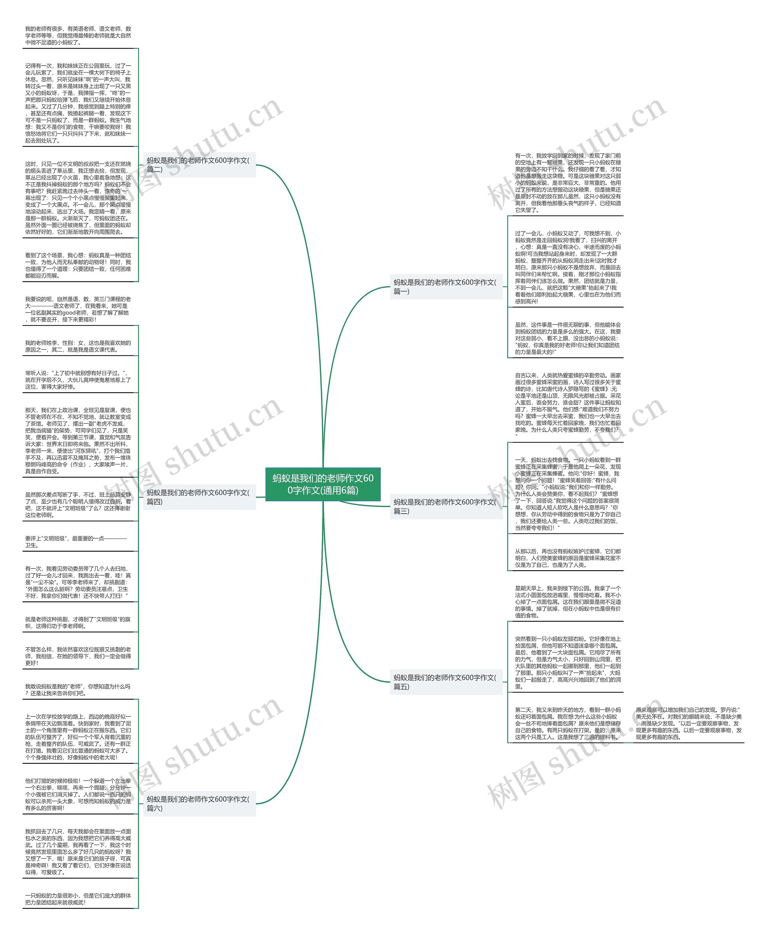 蚂蚁是我们的老师作文600字作文(通用6篇)思维导图
