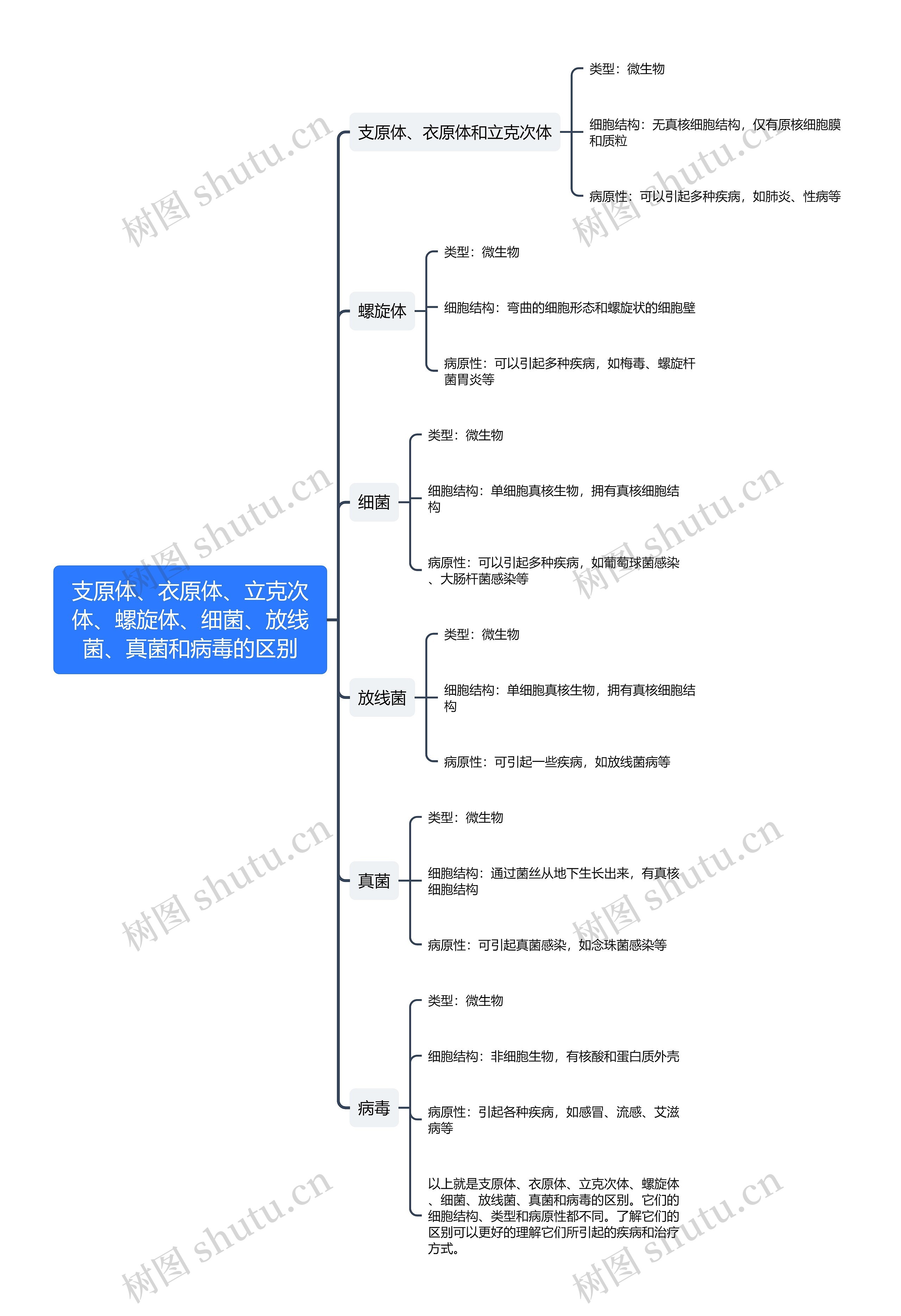 支原体、衣原体、立克次体、螺旋体、细菌、放线菌、真菌和病毒的区别