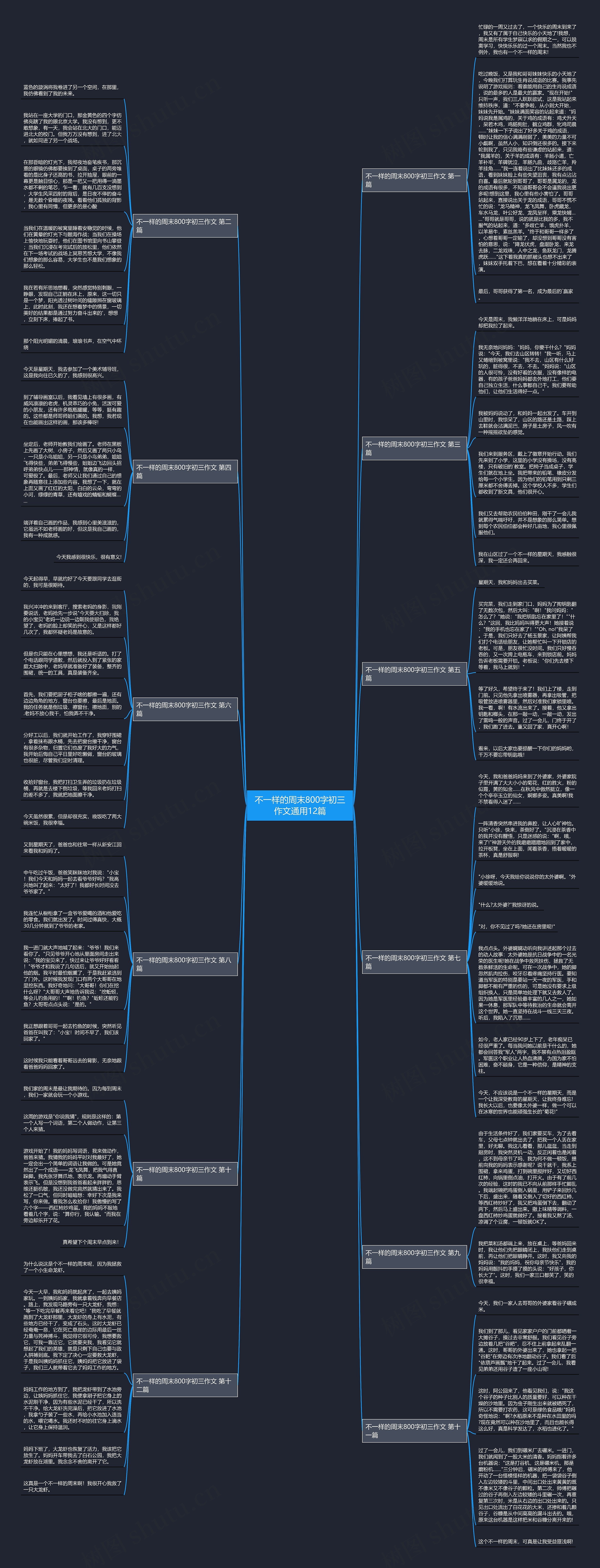 不一样的周末800字初三作文通用12篇思维导图
