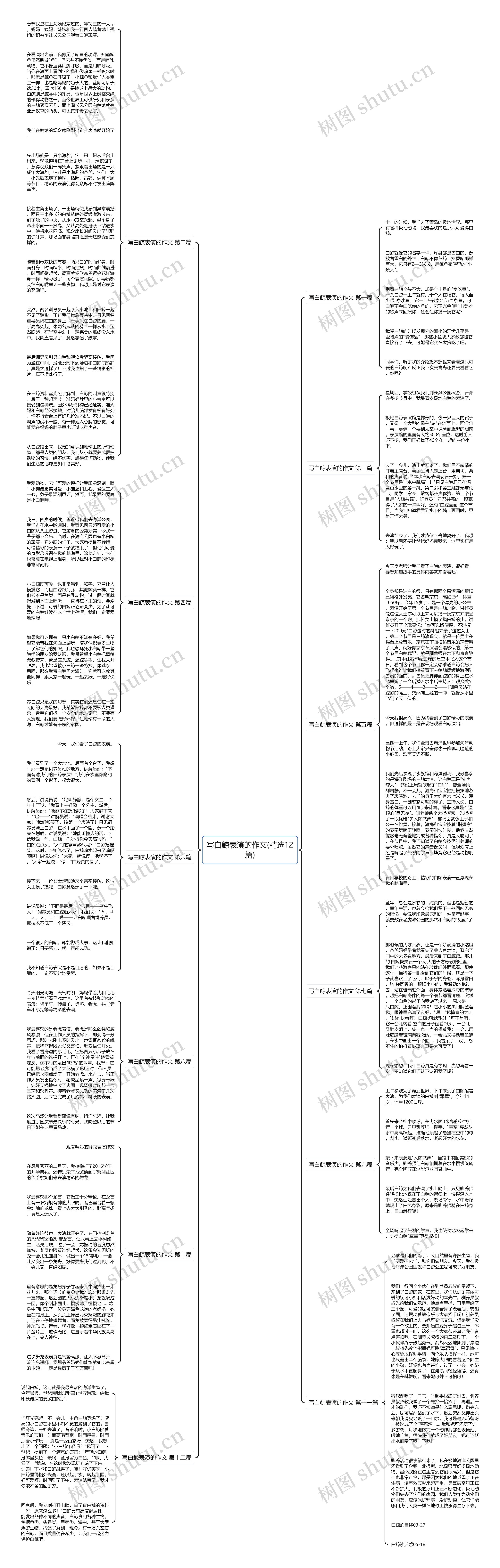 写白鲸表演的作文(精选12篇)思维导图
