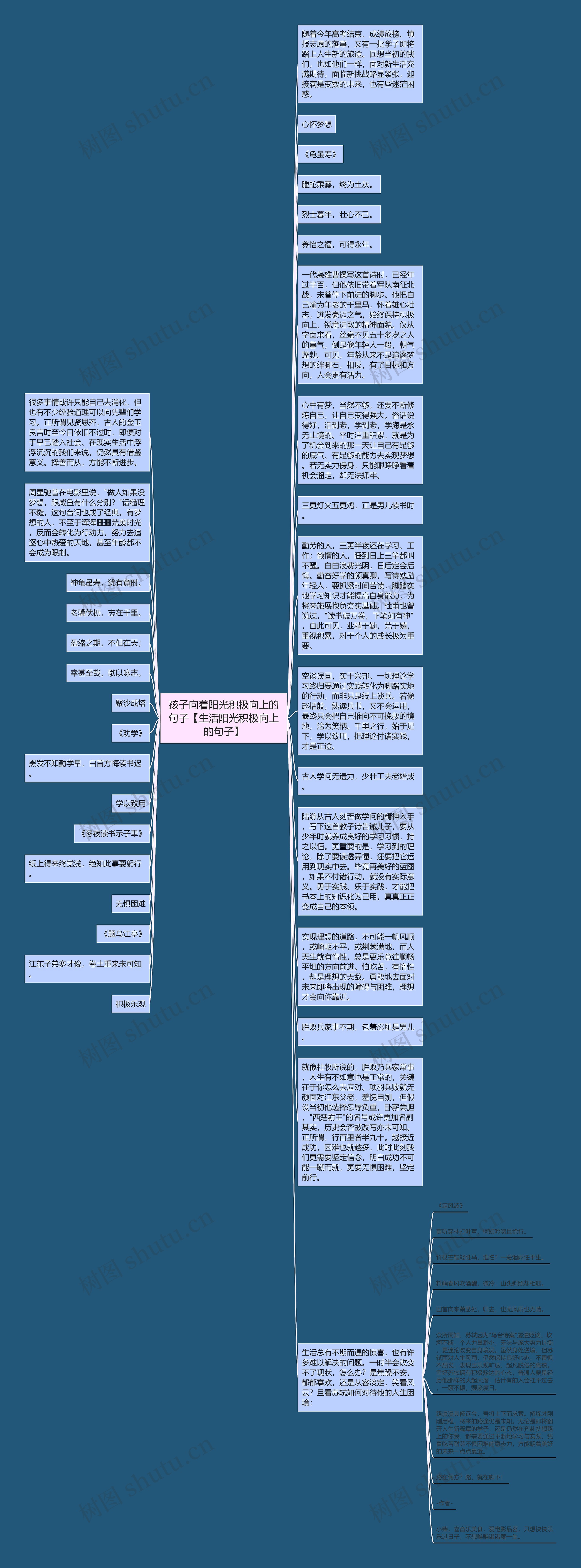 孩子向着阳光积极向上的句子【生活阳光积极向上的句子】思维导图