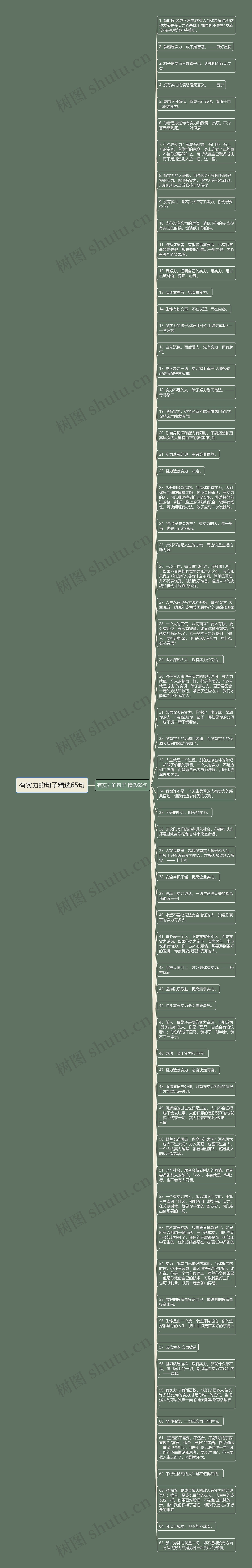 有实力的句子精选65句
