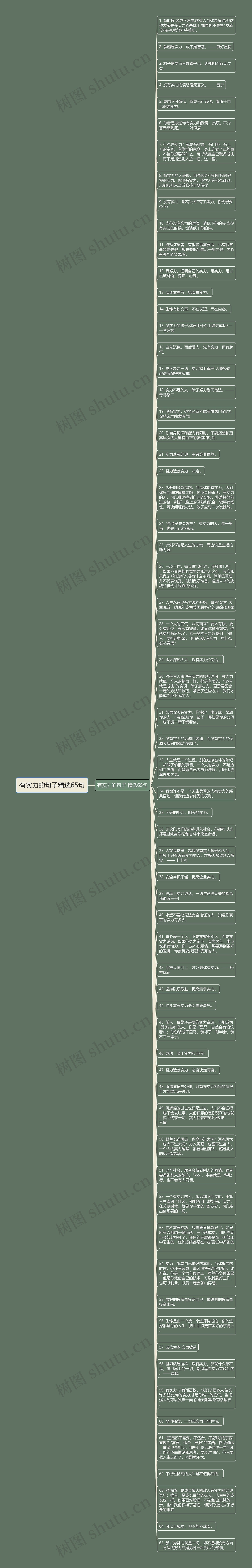 有实力的句子精选65句思维导图