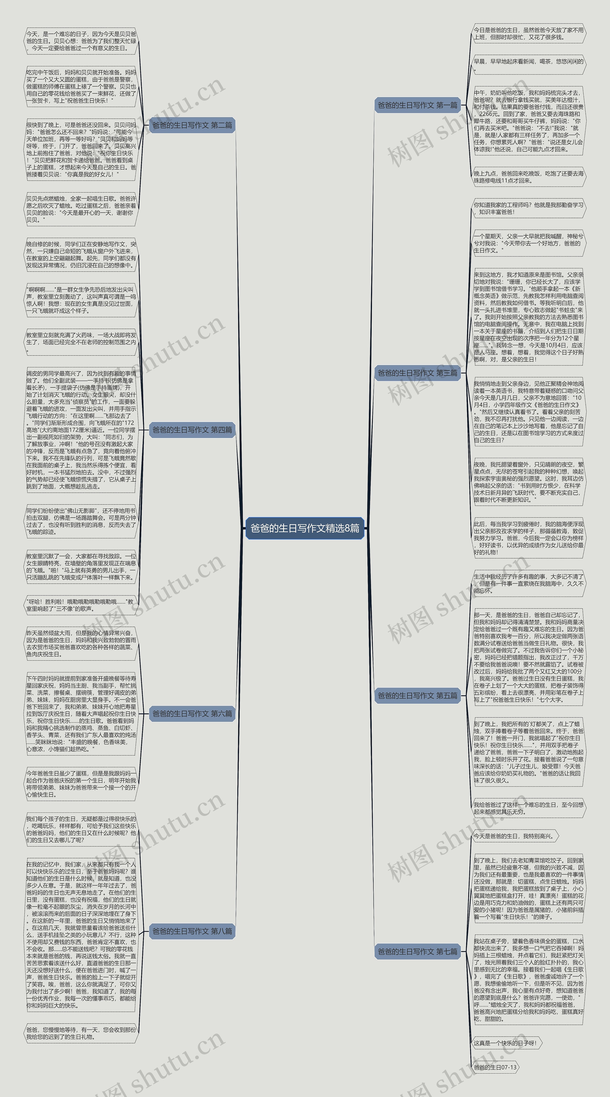 爸爸的生日写作文精选8篇思维导图