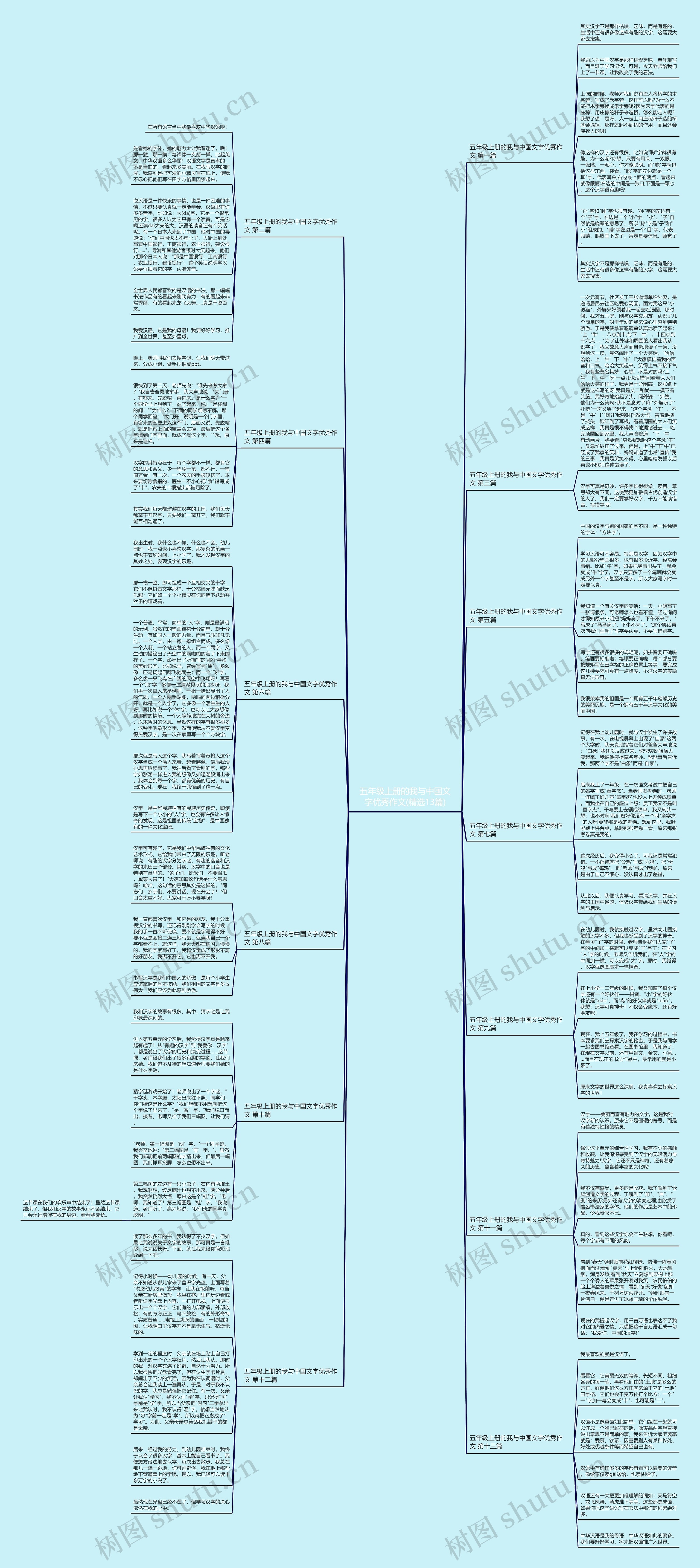 五年级上册的我与中国文字优秀作文(精选13篇)思维导图