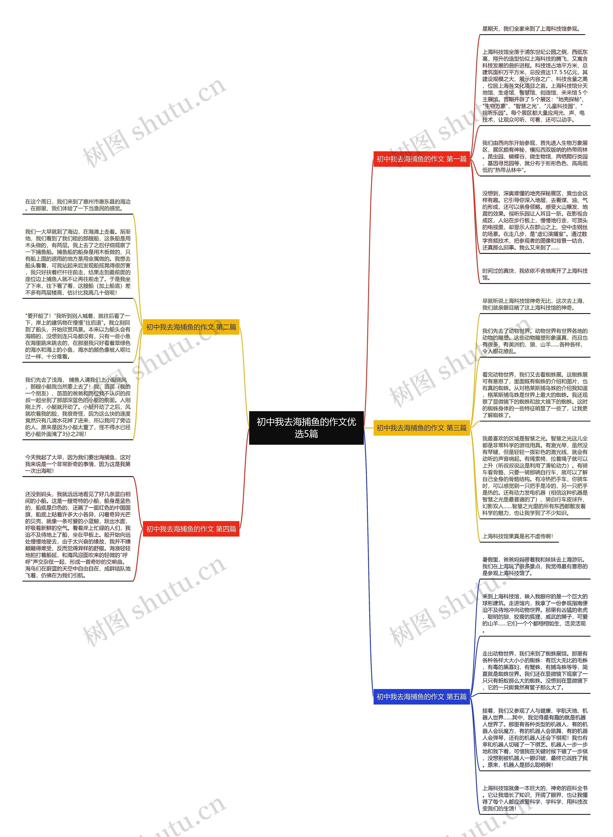 初中我去海捕鱼的作文优选5篇思维导图