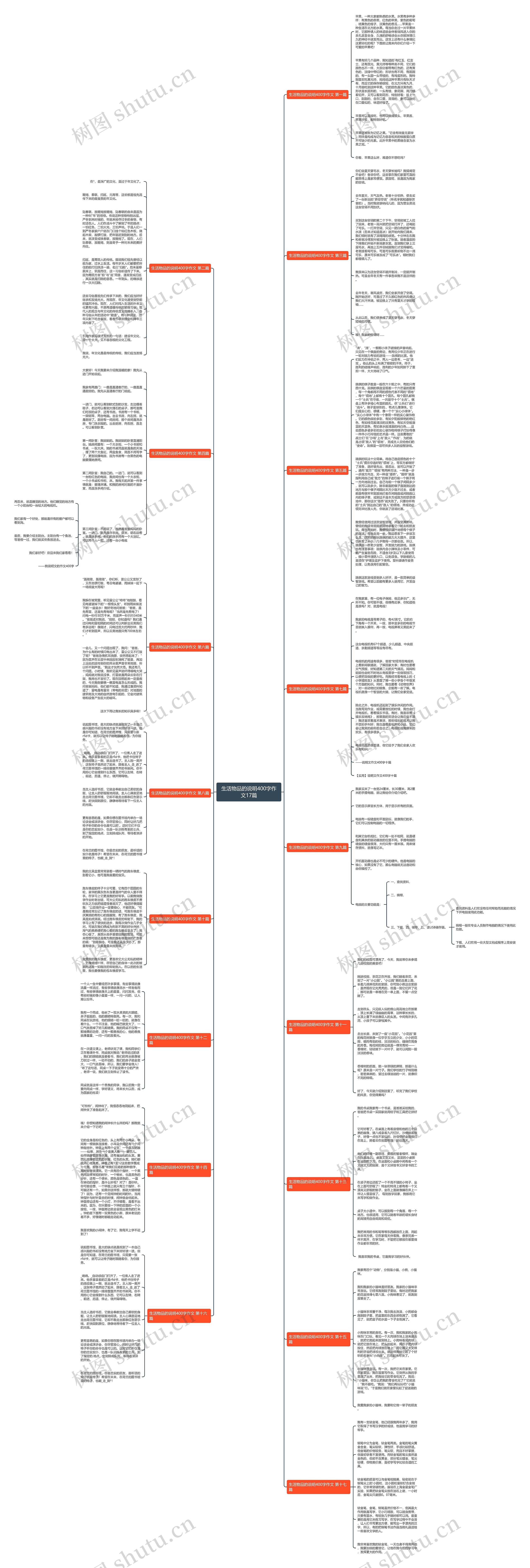 生活物品的说明400字作文17篇思维导图