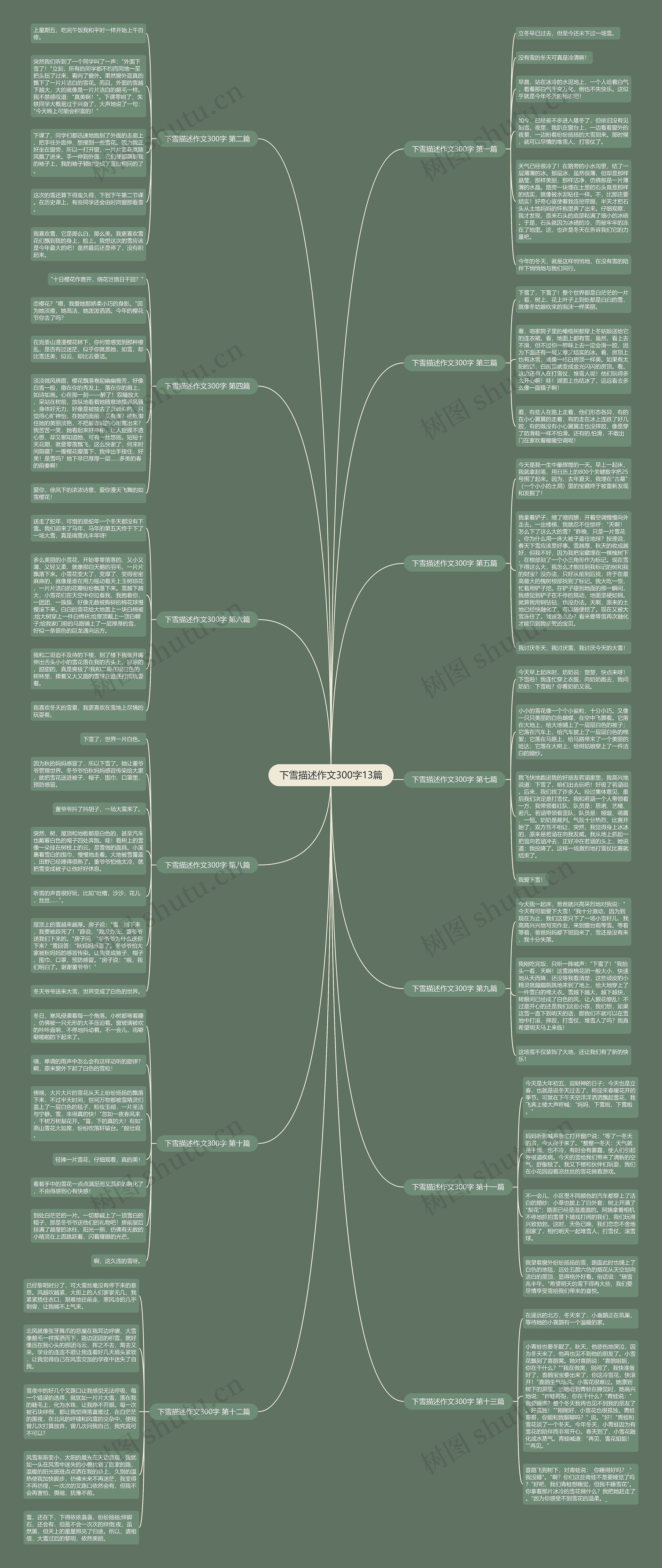 下雪描述作文300字13篇思维导图