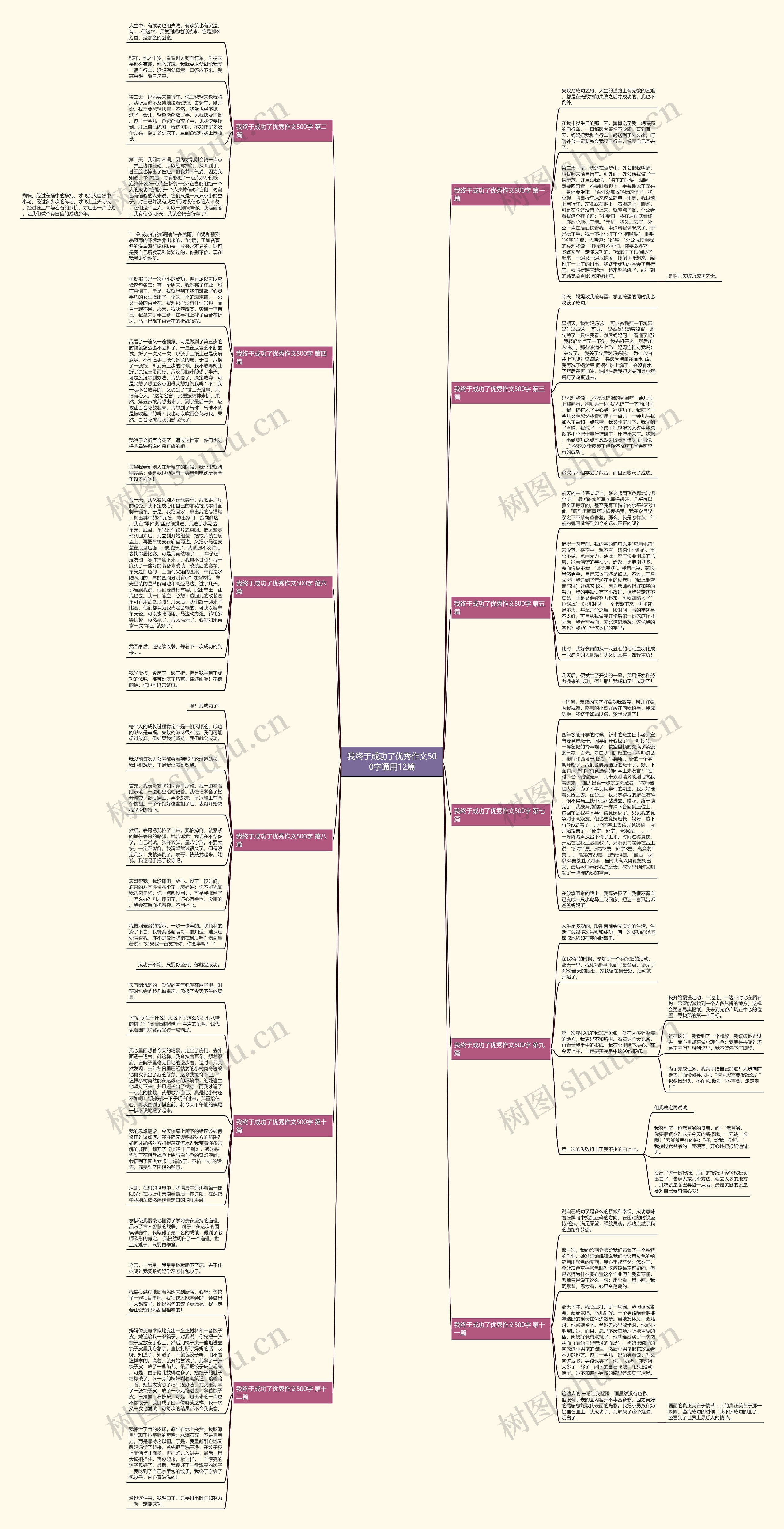 我终于成功了优秀作文500字通用12篇思维导图