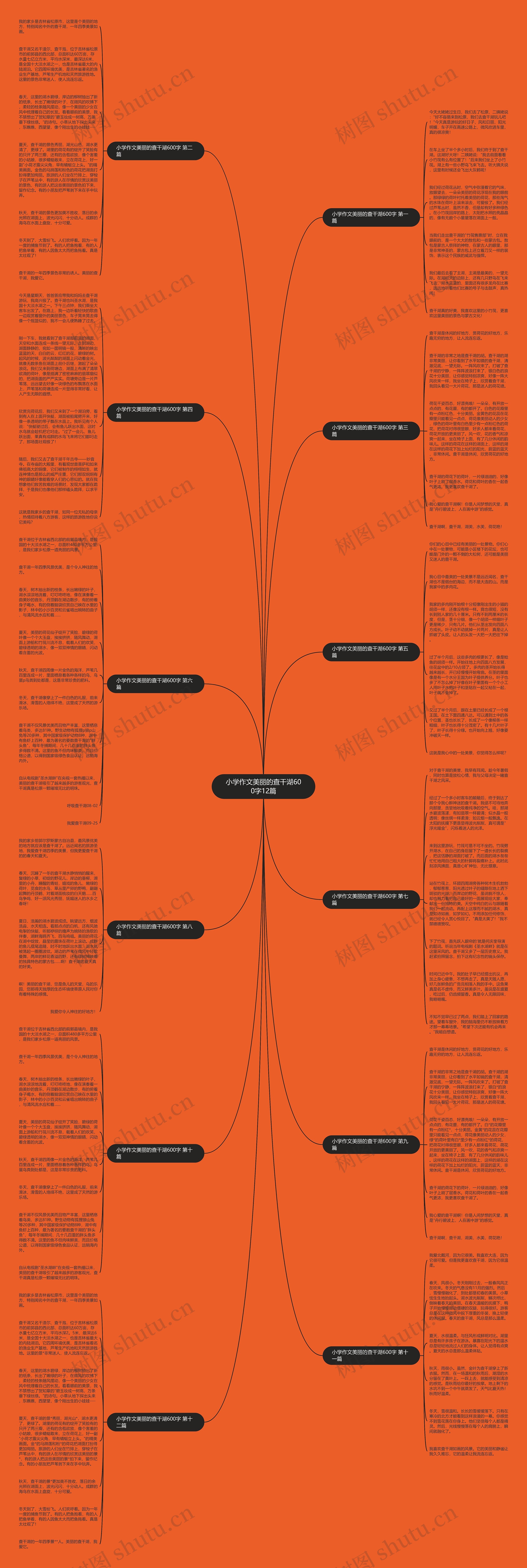 小学作文美丽的查干湖600字12篇思维导图