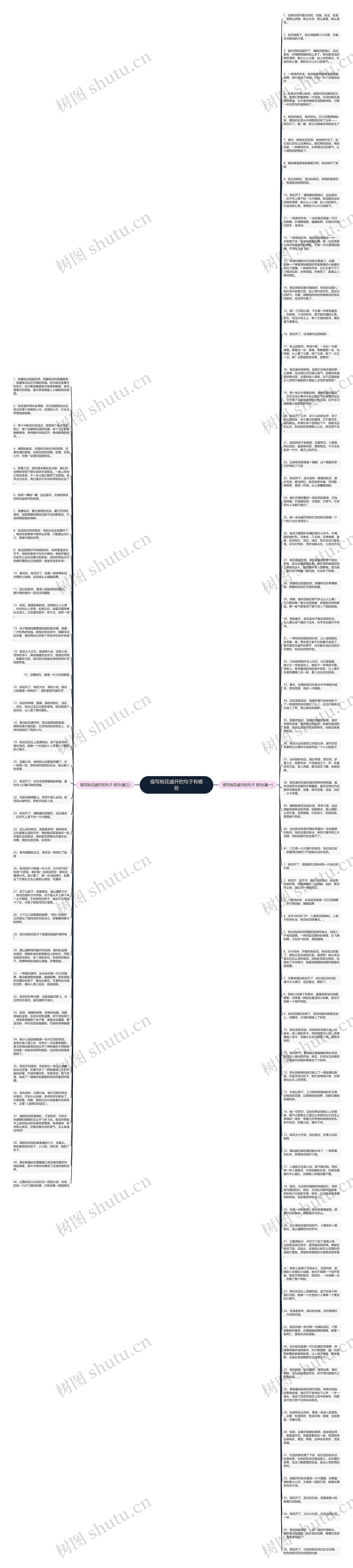 描写桃花盛开的句子有哪些思维导图