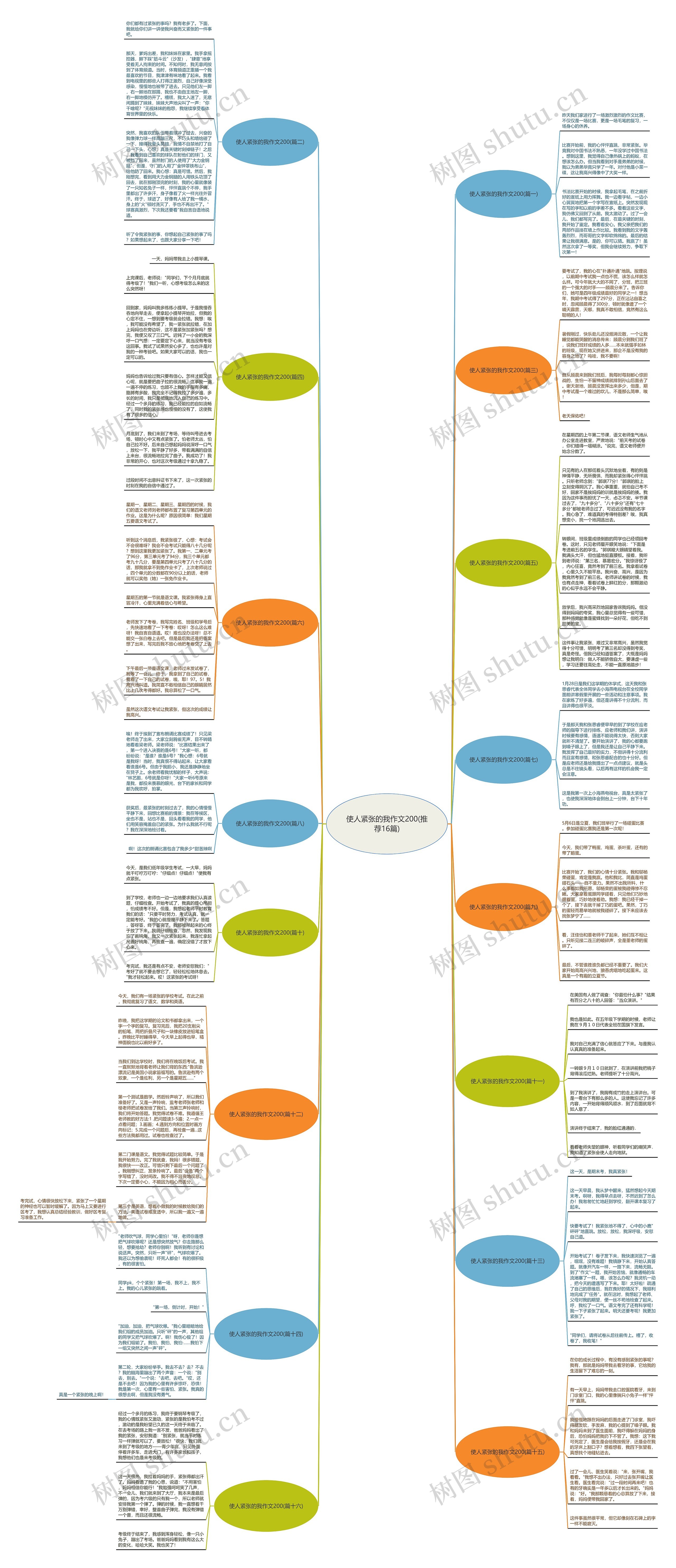 使人紧张的我作文200(推荐16篇)思维导图