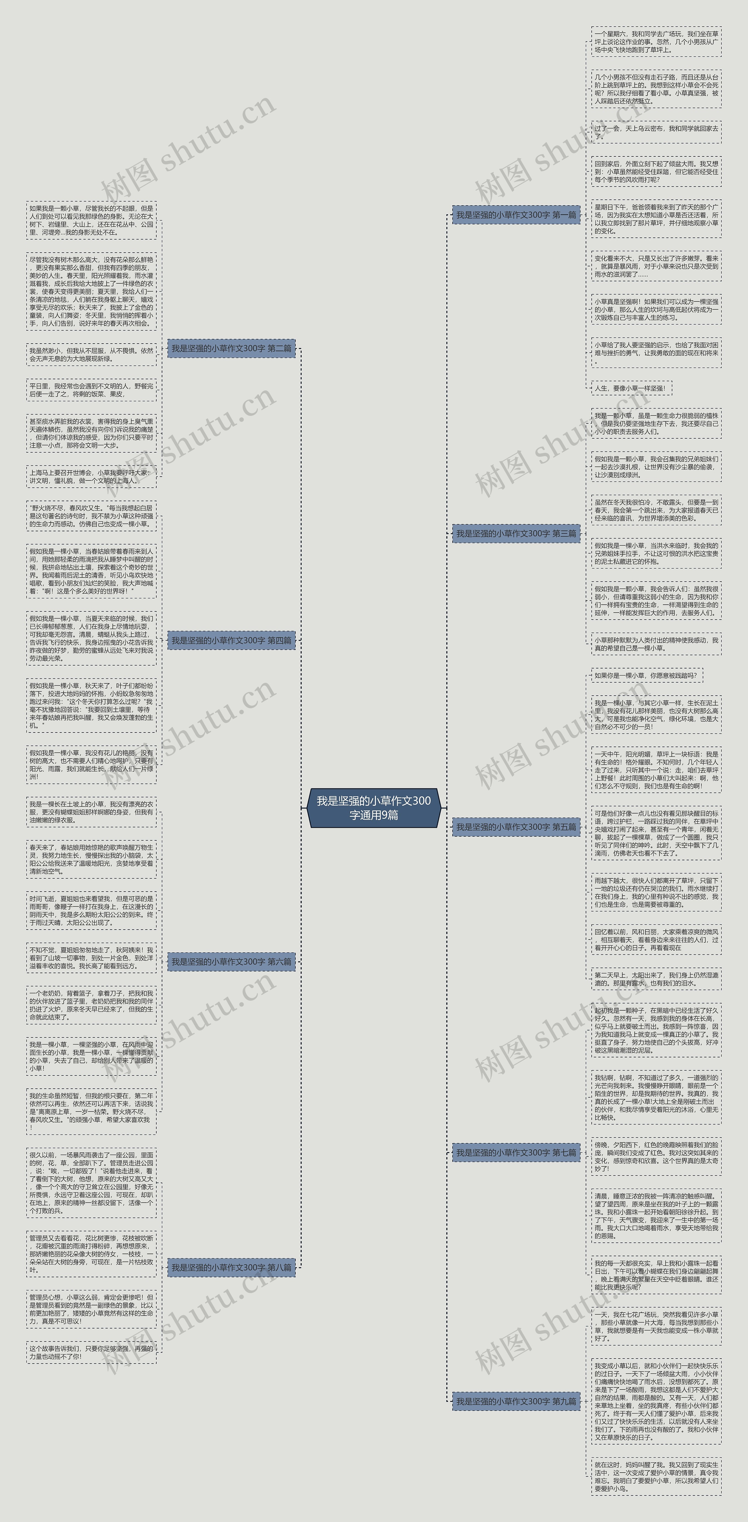 我是坚强的小草作文300字通用9篇思维导图