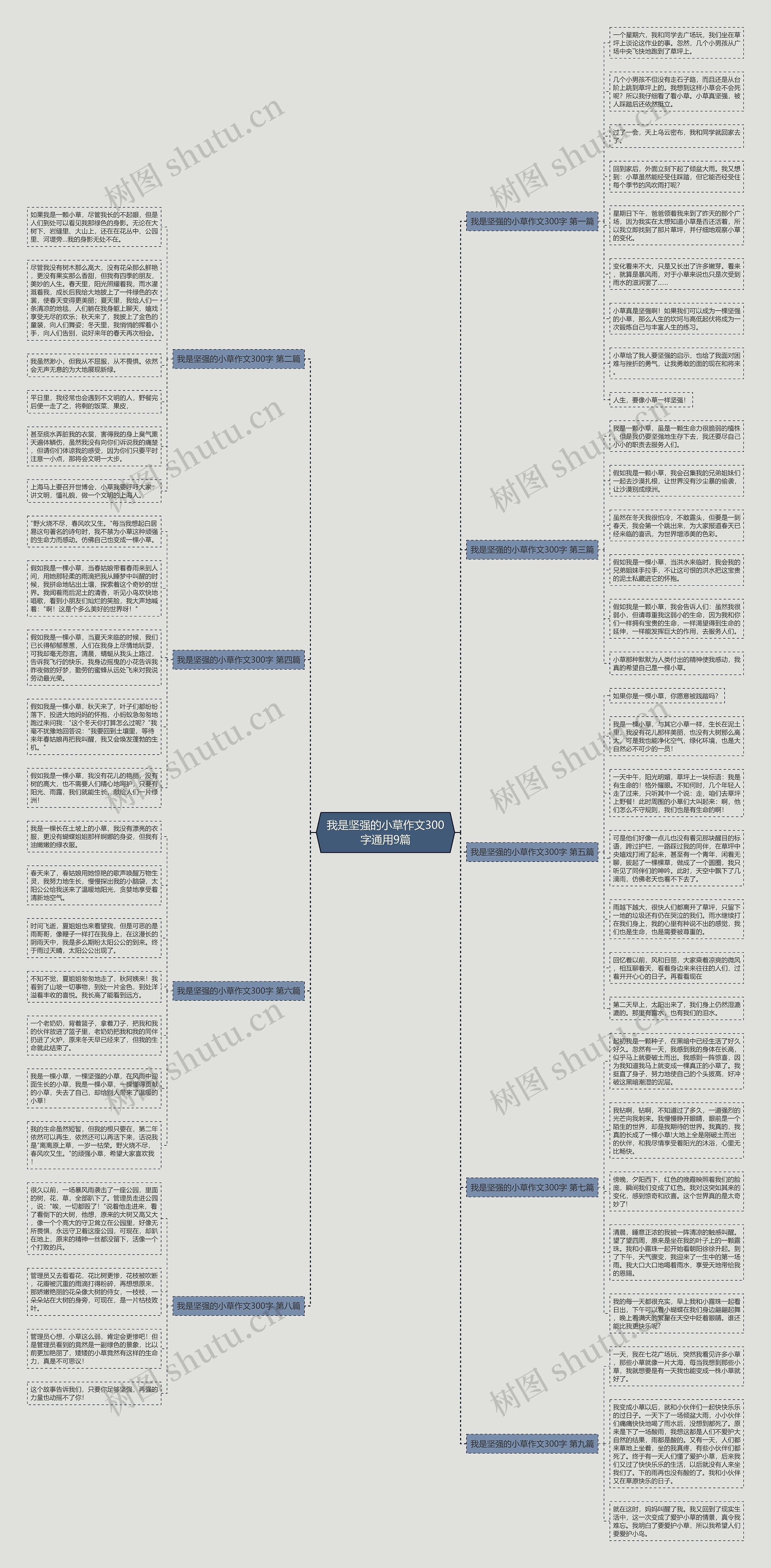 我是坚强的小草作文300字通用9篇 我是坚强的小草作文300字通用9篇