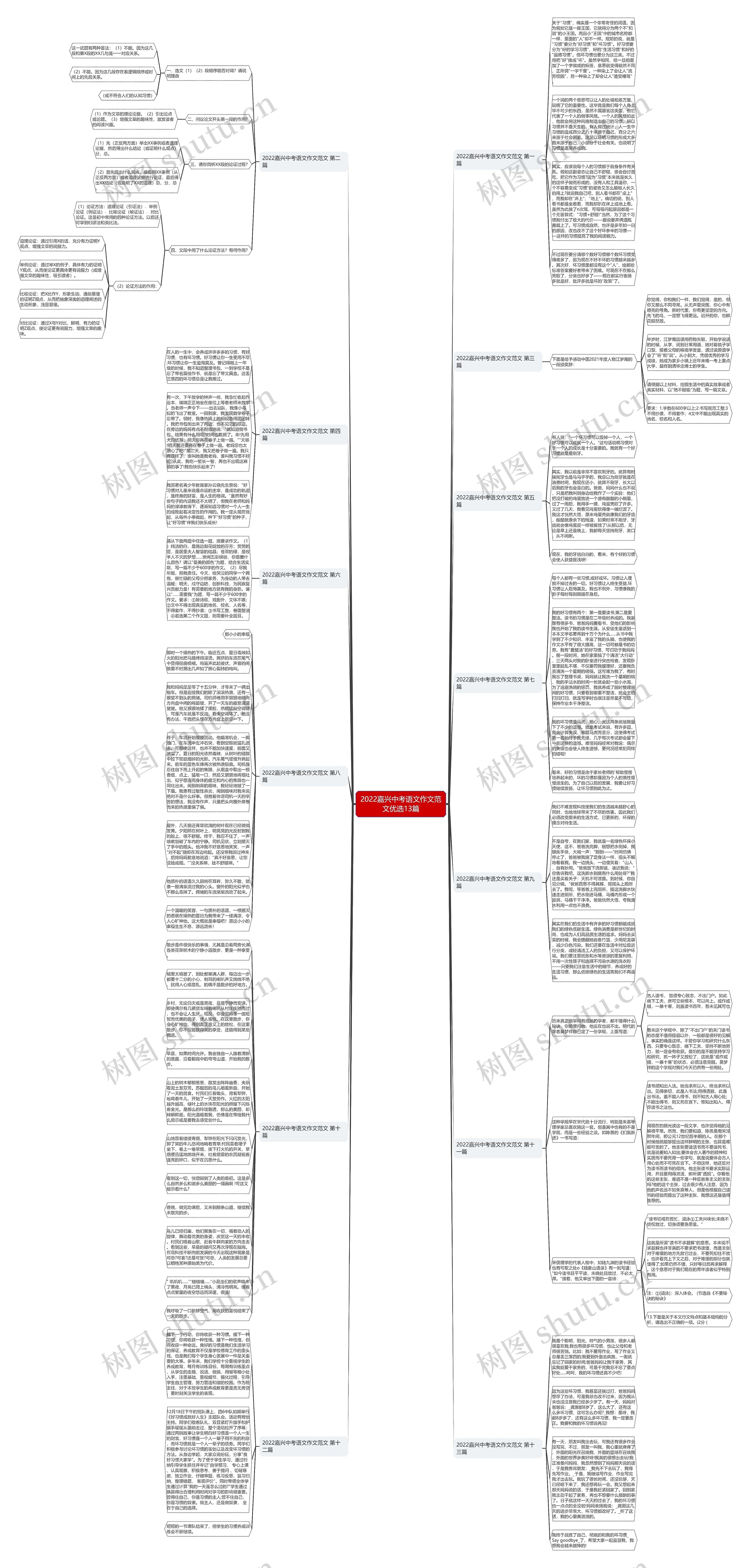 2022嘉兴中考语文作文范文优选13篇思维导图