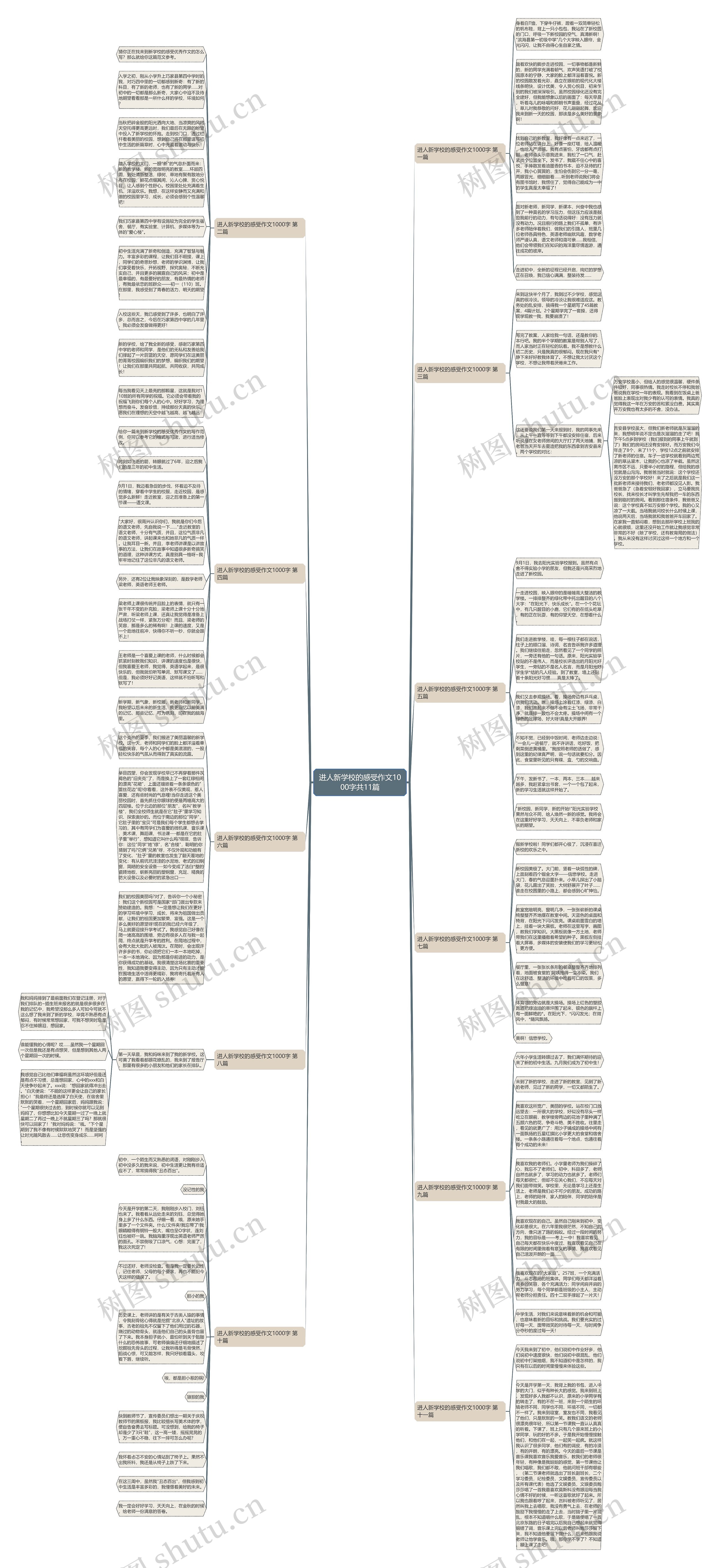 进人新学校的感受作文1000字共11篇思维导图