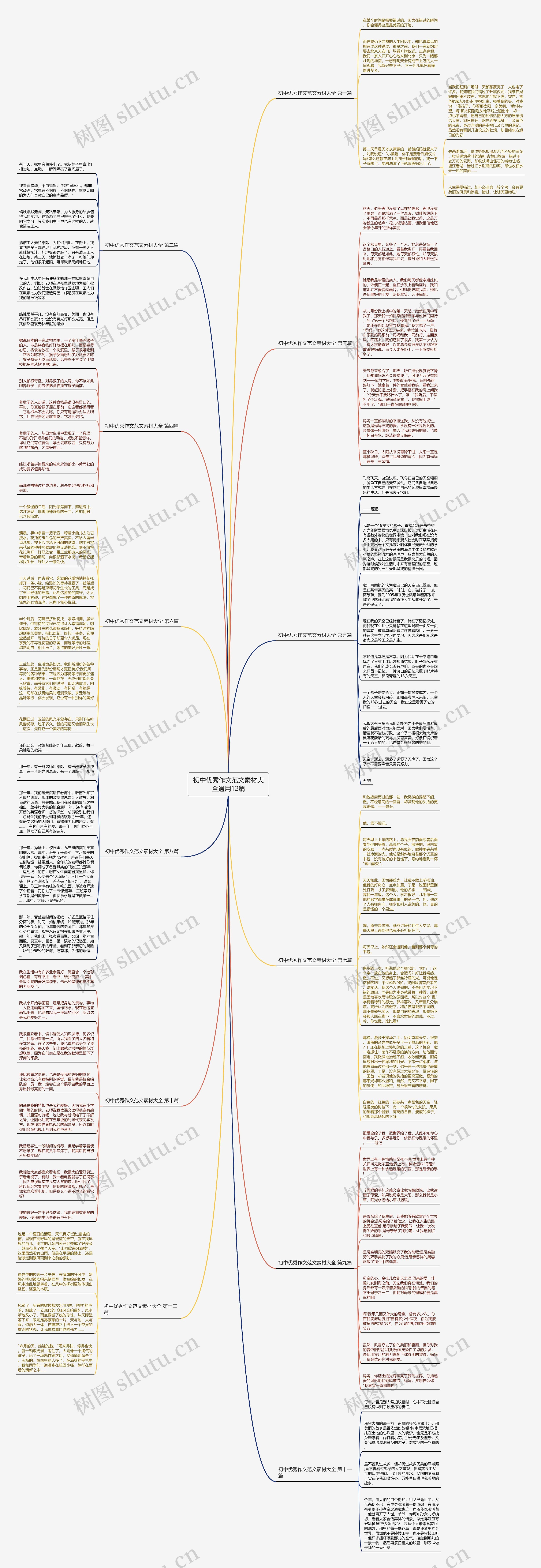 初中优秀作文范文素材大全通用12篇思维导图