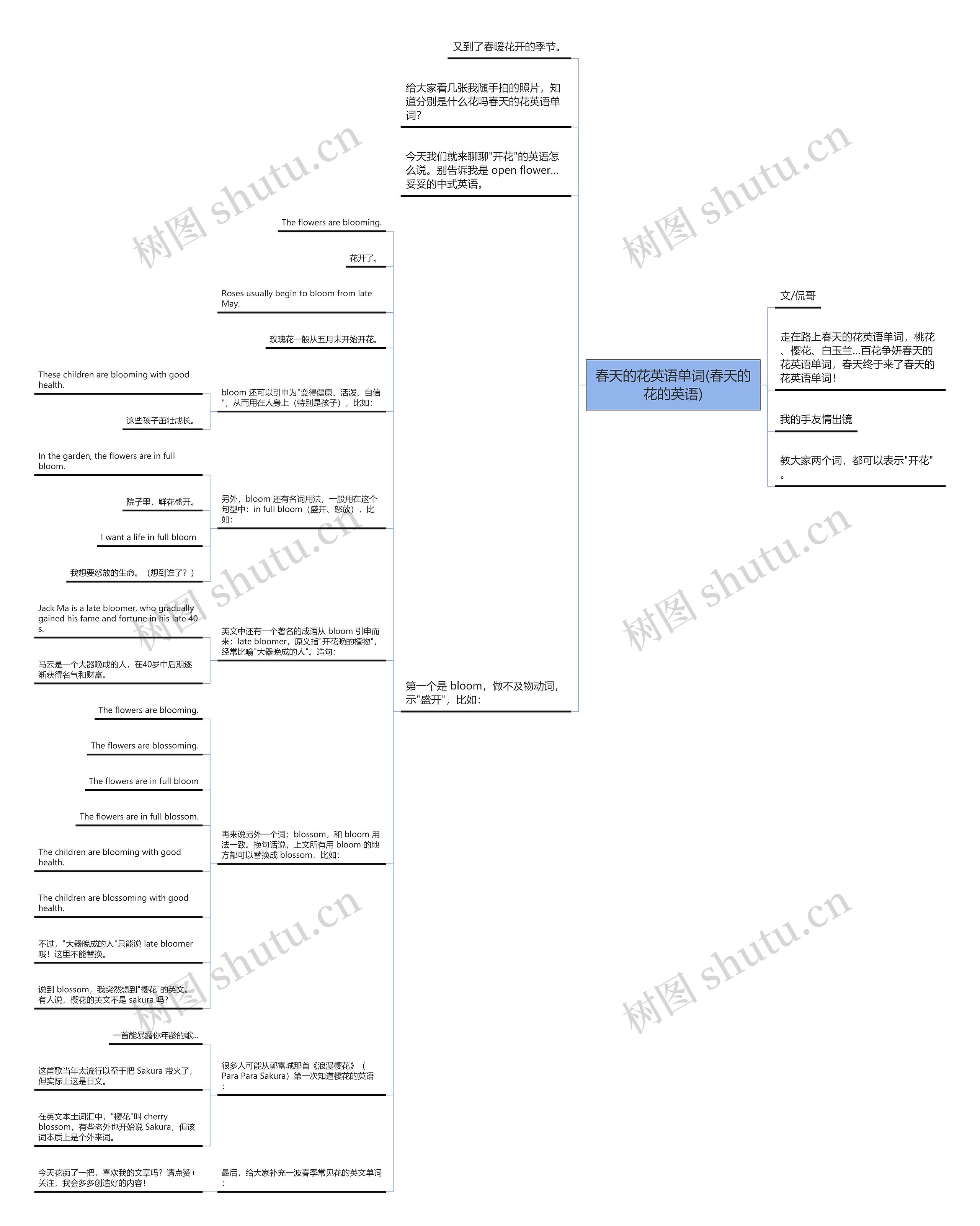 春天的花英语单词(春天的花的英语)思维导图