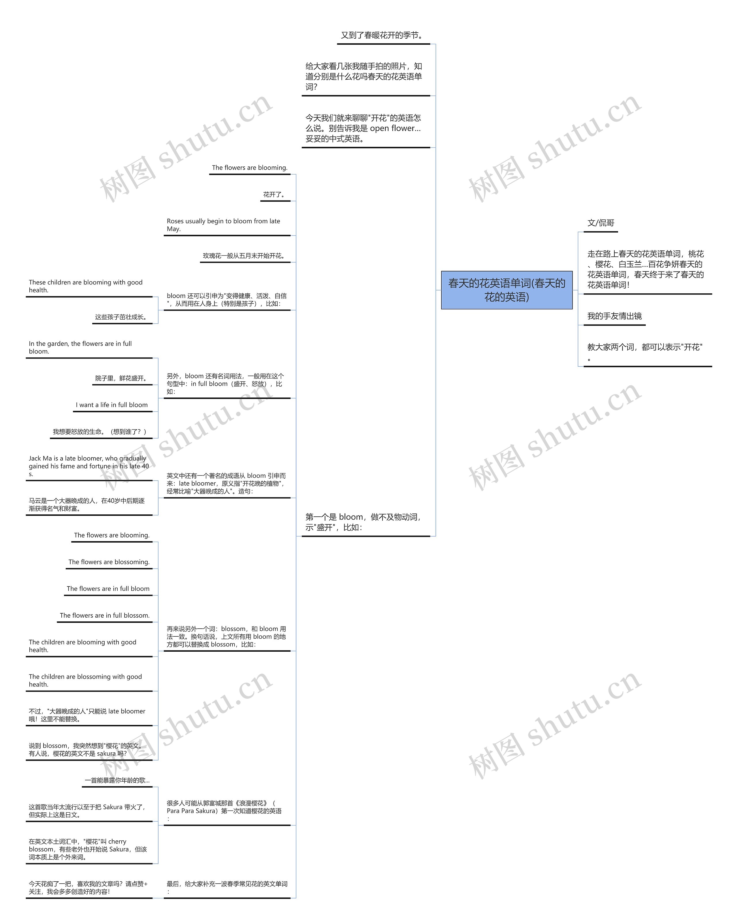 春天的花英语单词(春天的花的英语) 春天的花英语单词(春天的花的英语)